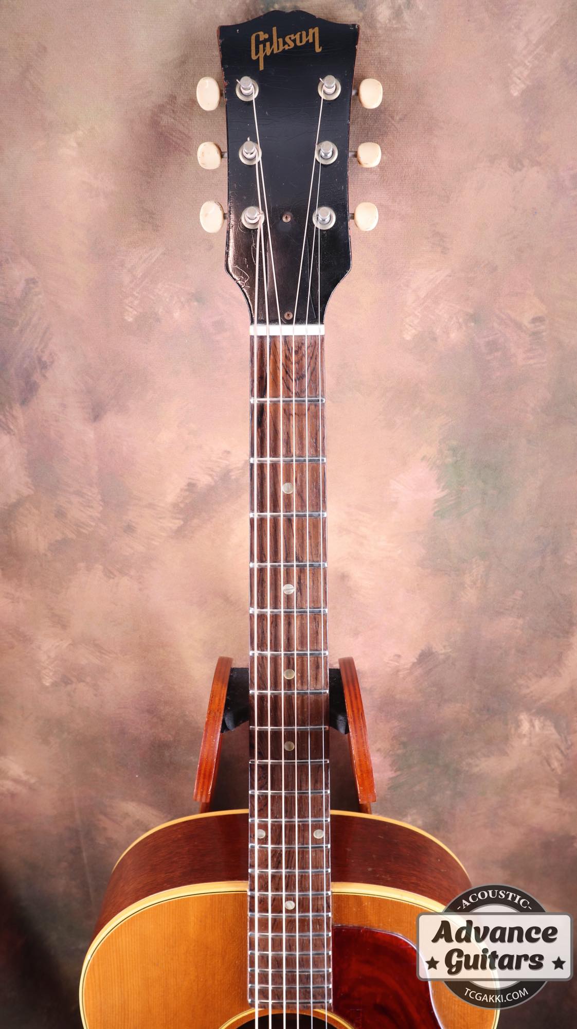 1965年製 B - 25N - TC楽器 - TCGAKKI