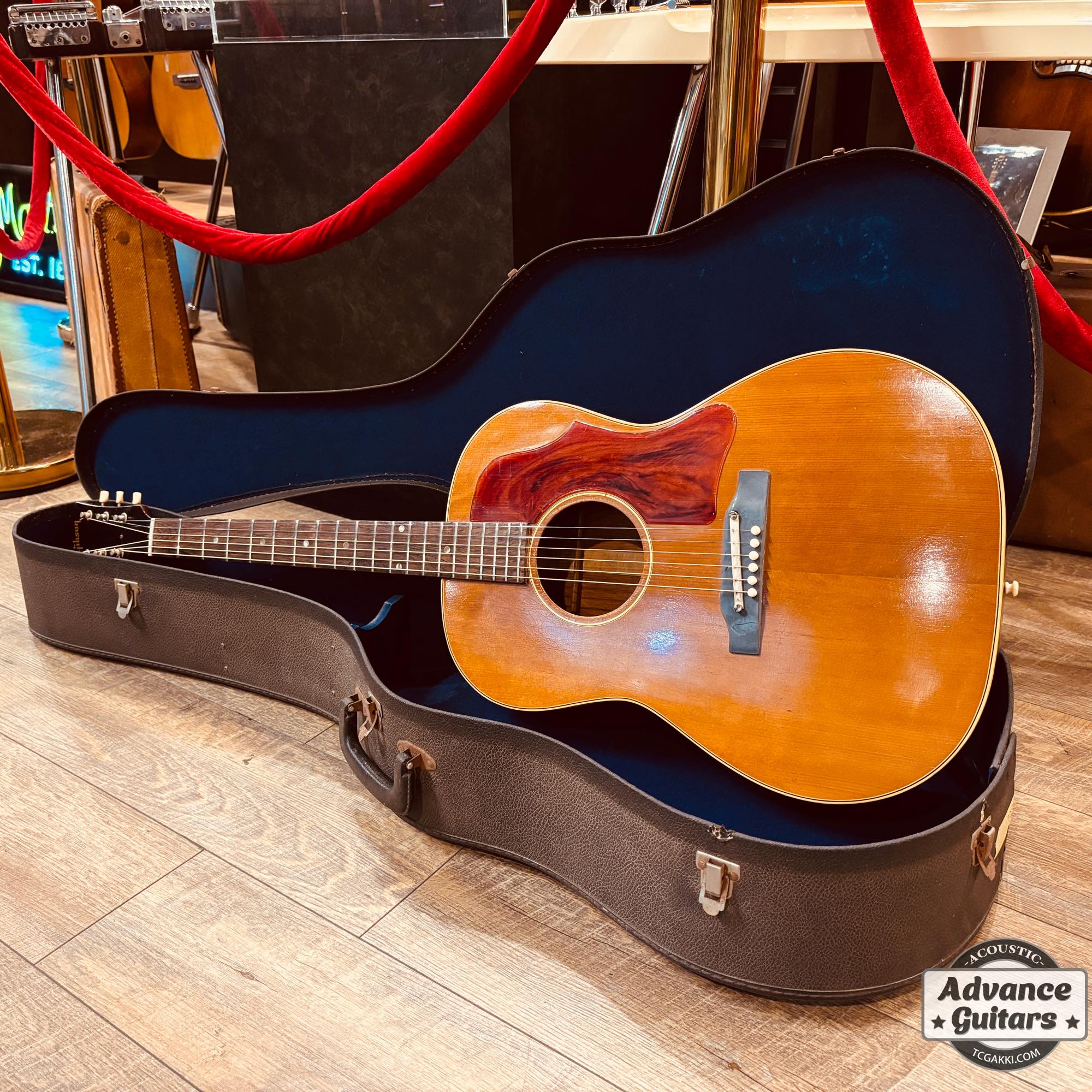 1965年製 B - 25N - TC楽器 - TCGAKKI