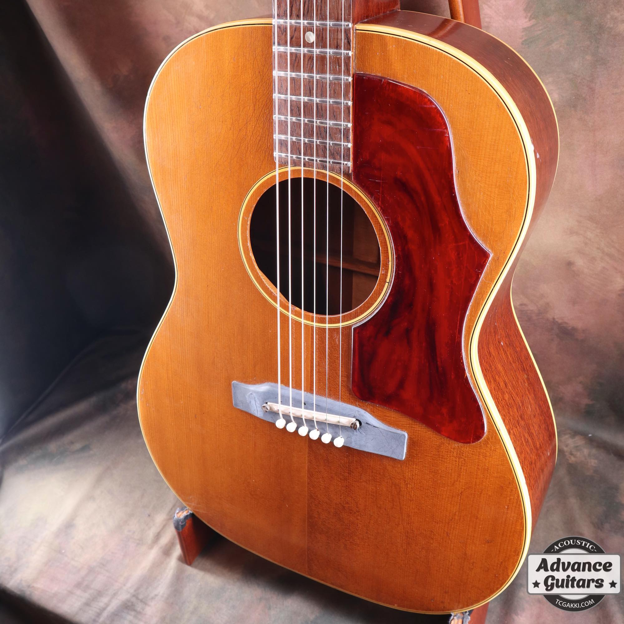 1965年製 B - 25N - TC楽器 - TCGAKKI