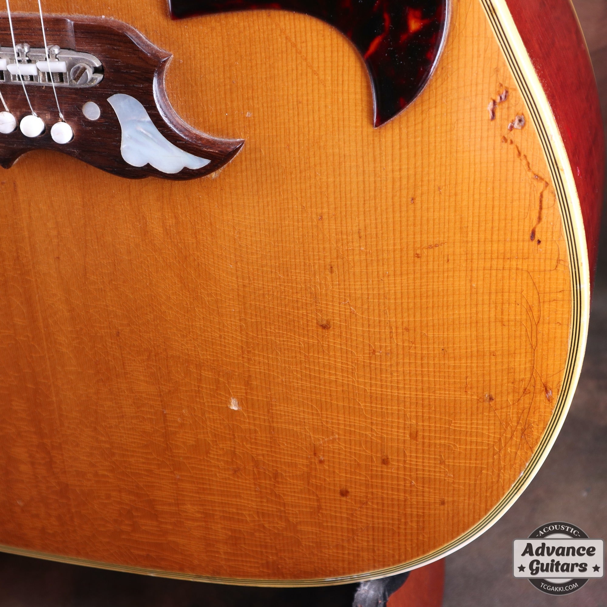 1965 Dove Natural - TC楽器 - TCGAKKI