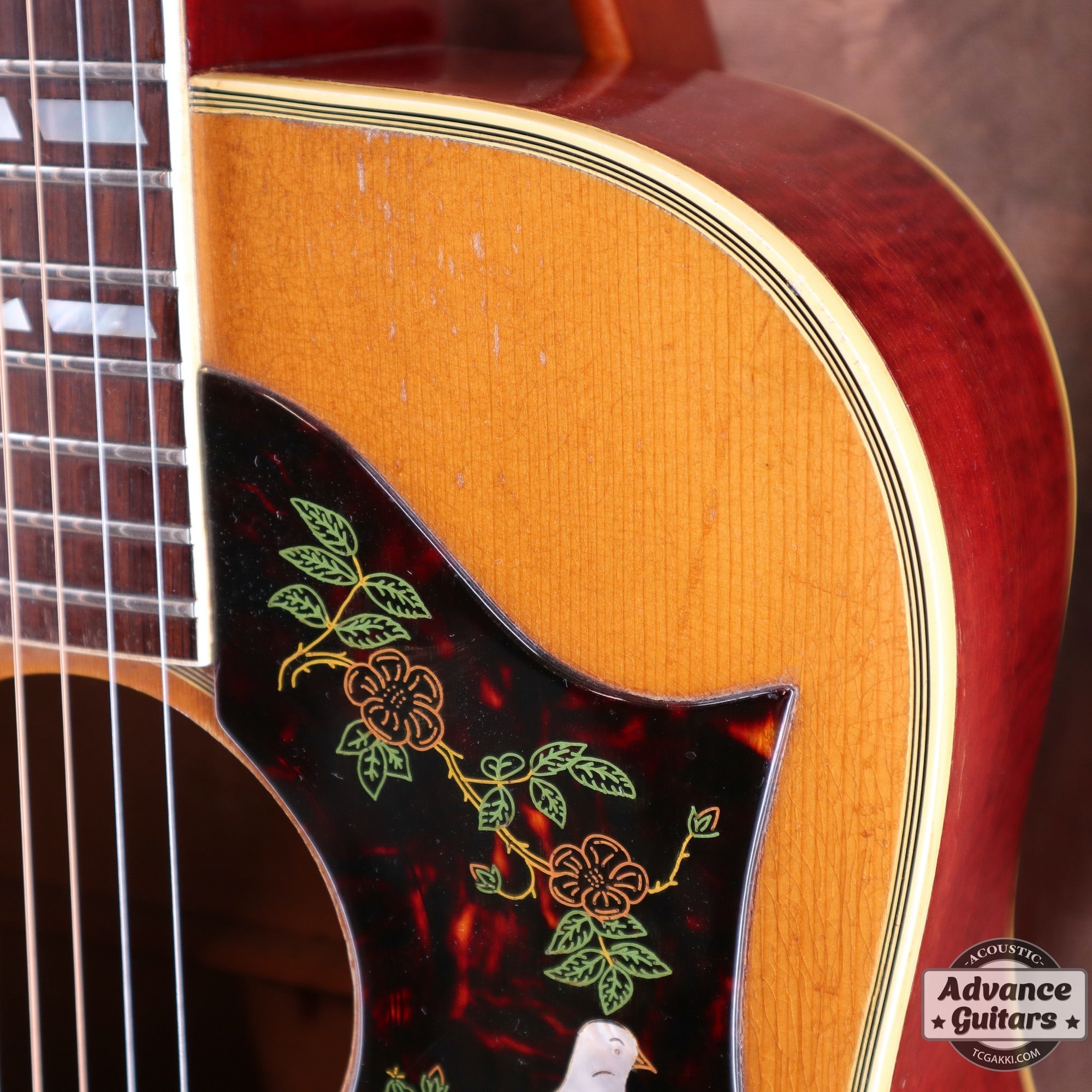 1965 Dove Natural - TC楽器 - TCGAKKI