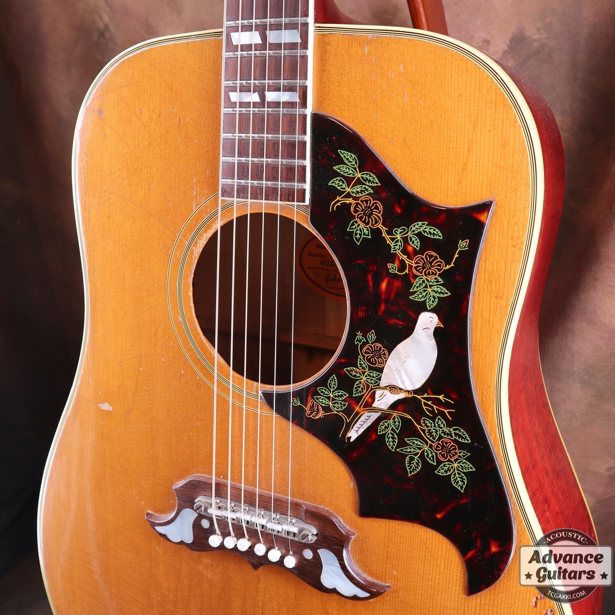 1965 Dove Natural - TC楽器 - TCGAKKI