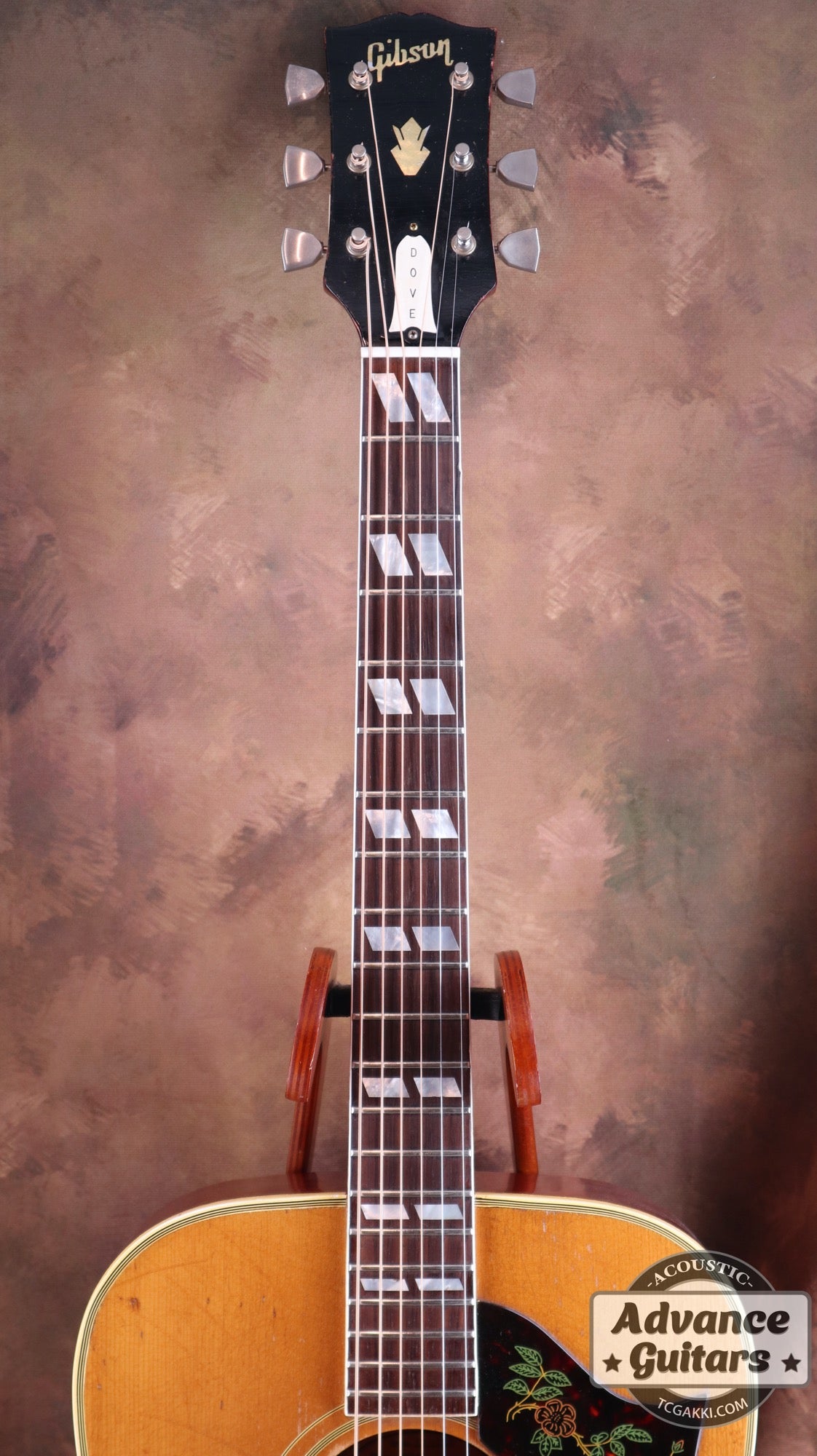 1965 Dove Natural - TC楽器 - TCGAKKI