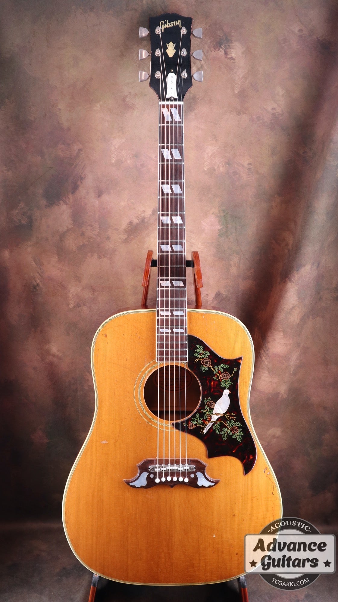 1965 Dove Natural - TC楽器 - TCGAKKI
