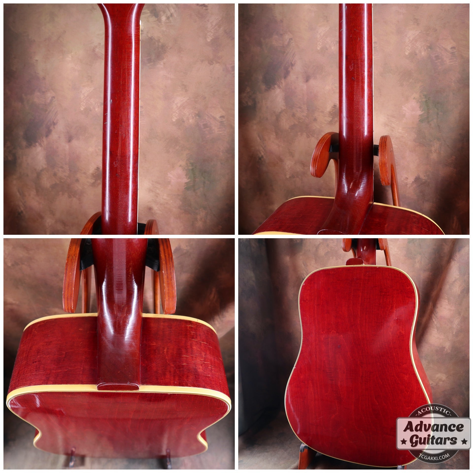 1965 Dove Natural - TC楽器 - TCGAKKI