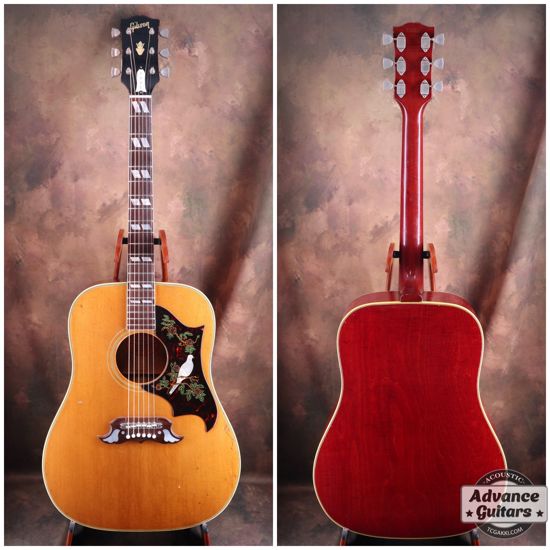 1965 Dove Natural - TC楽器 - TCGAKKI