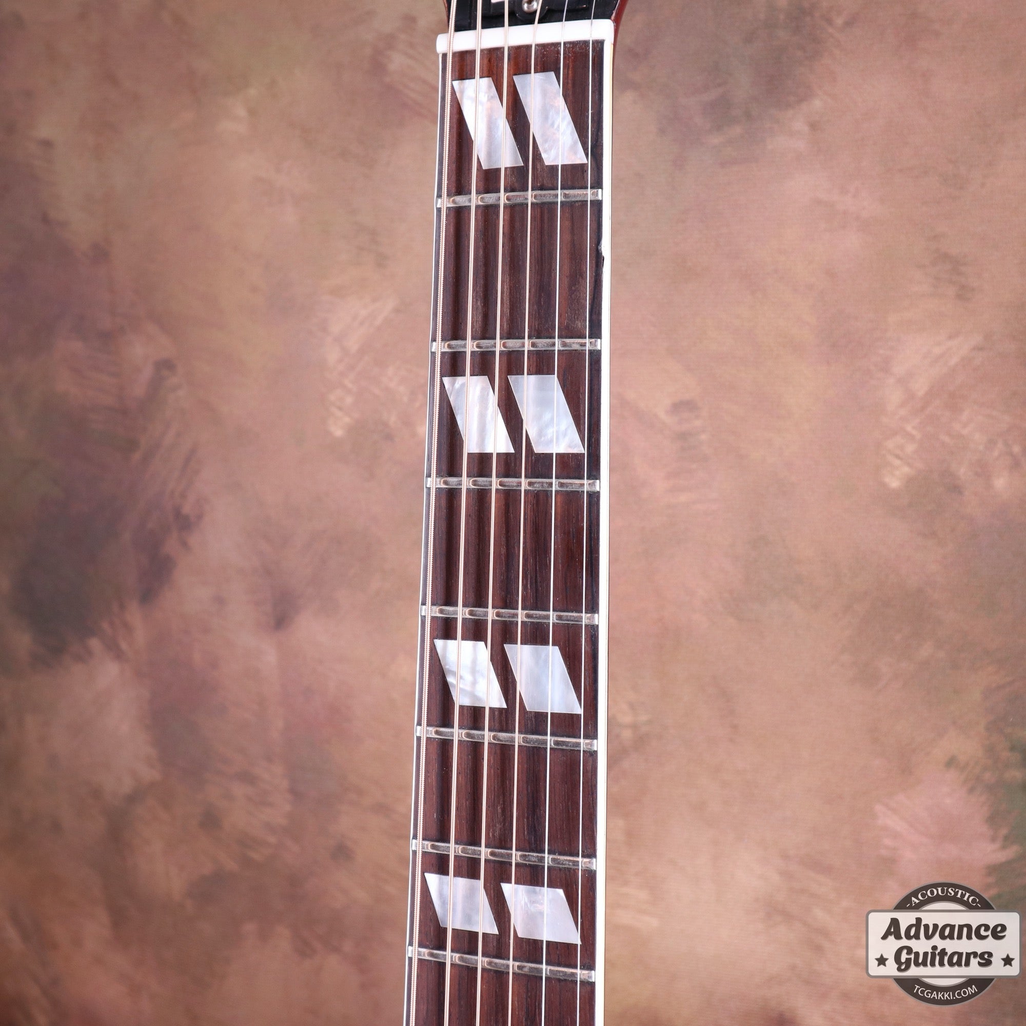 1965 Dove Natural - TC楽器 - TCGAKKI