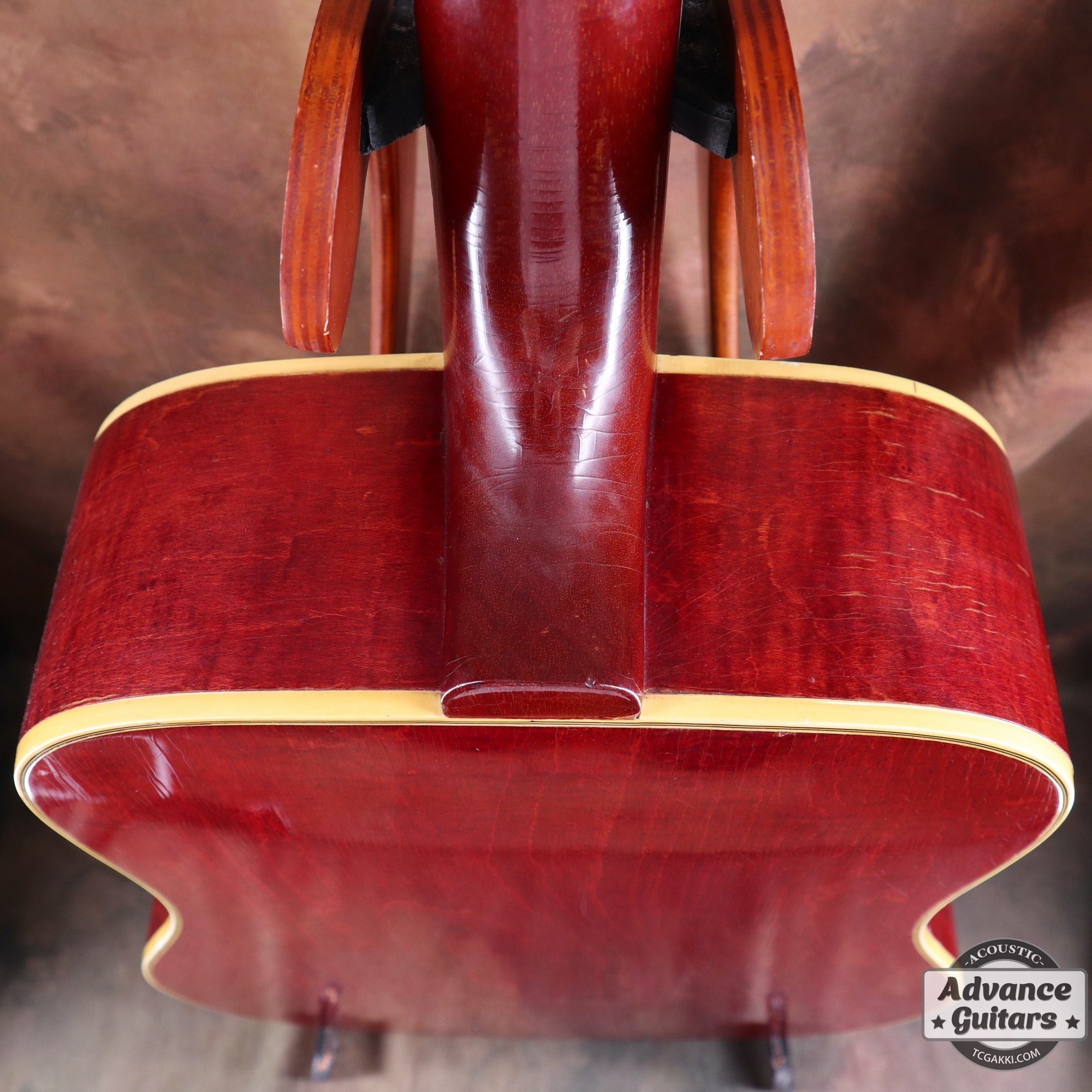 1965 Dove Natural - TC楽器 - TCGAKKI