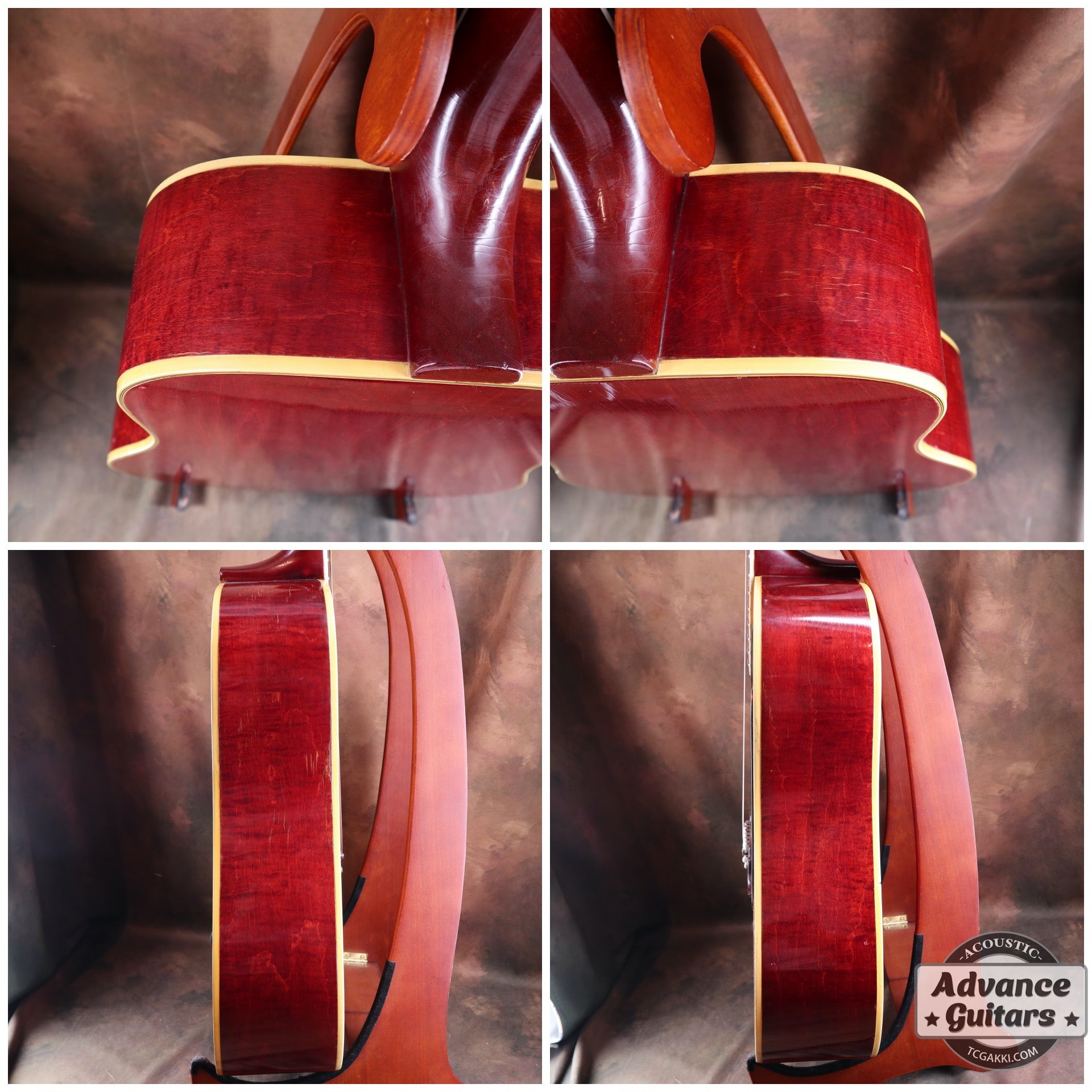 1965 Dove Natural - TC楽器 - TCGAKKI