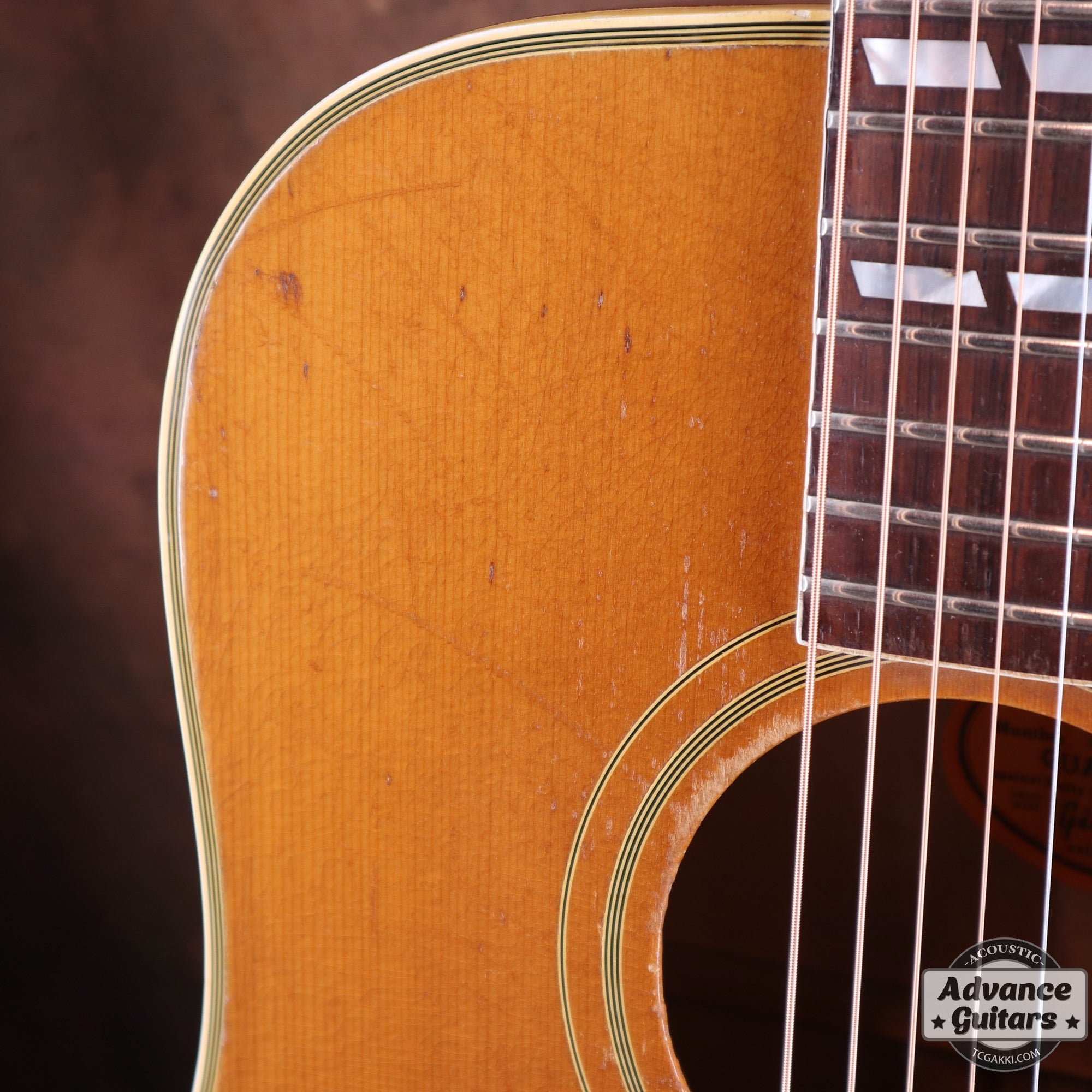 1965 Dove Natural - TC楽器 - TCGAKKI