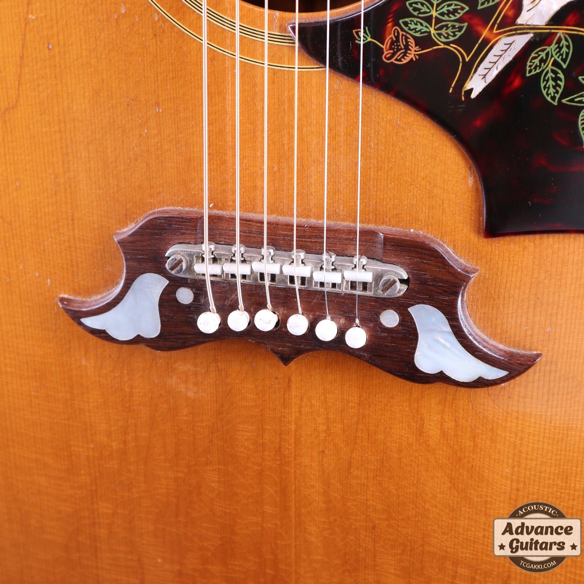 1965 Dove Natural - TC楽器 - TCGAKKI