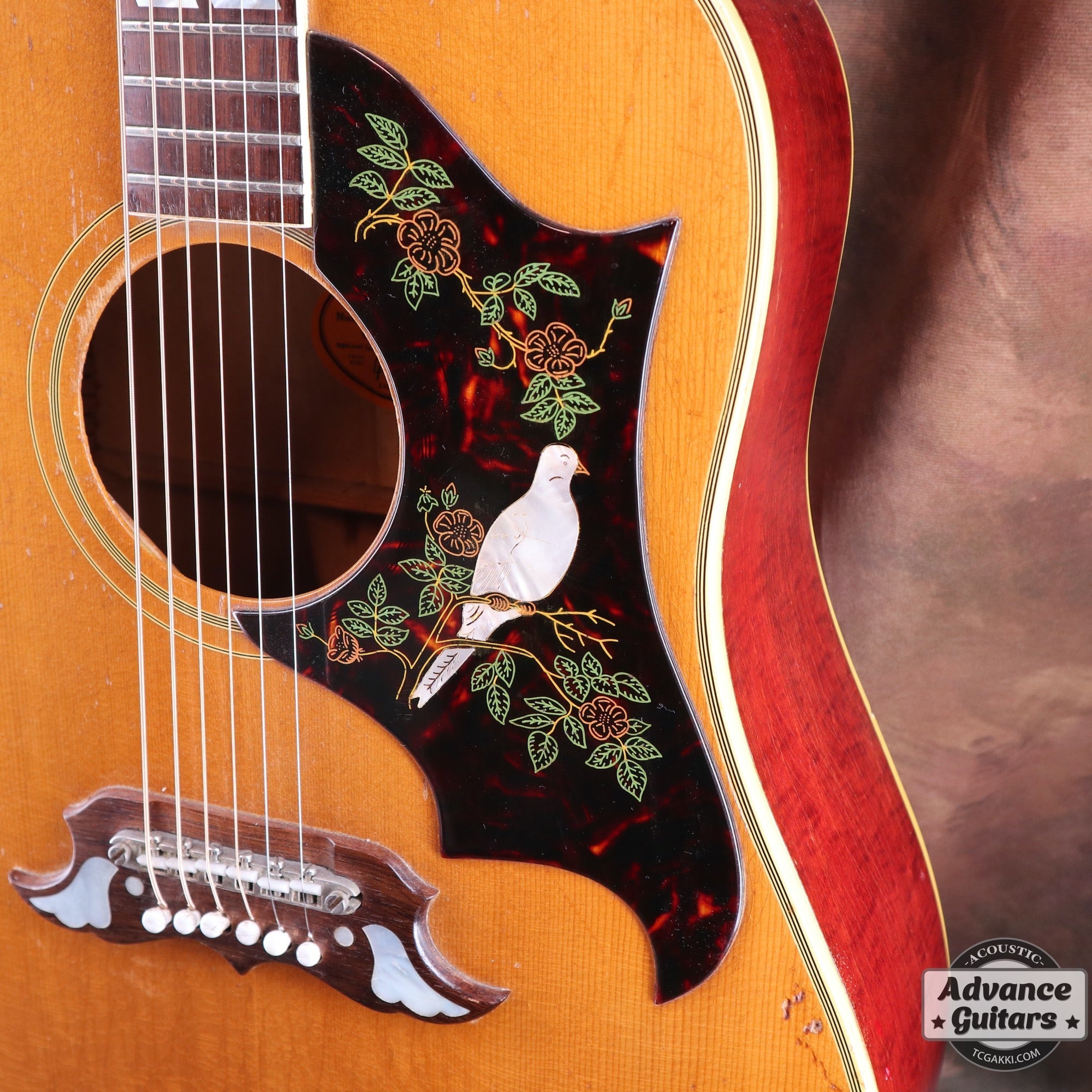 1965 Dove Natural - TC楽器 - TCGAKKI