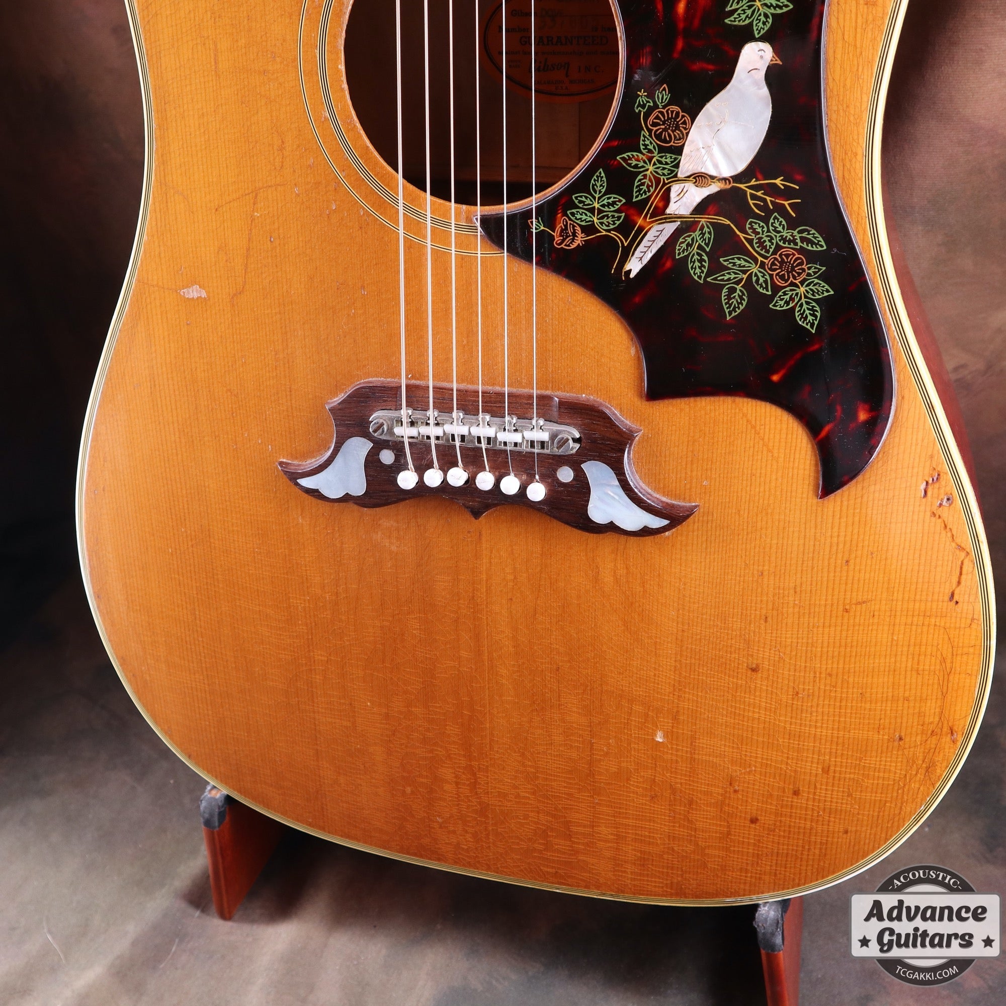 1965 Dove Natural - TC楽器 - TCGAKKI