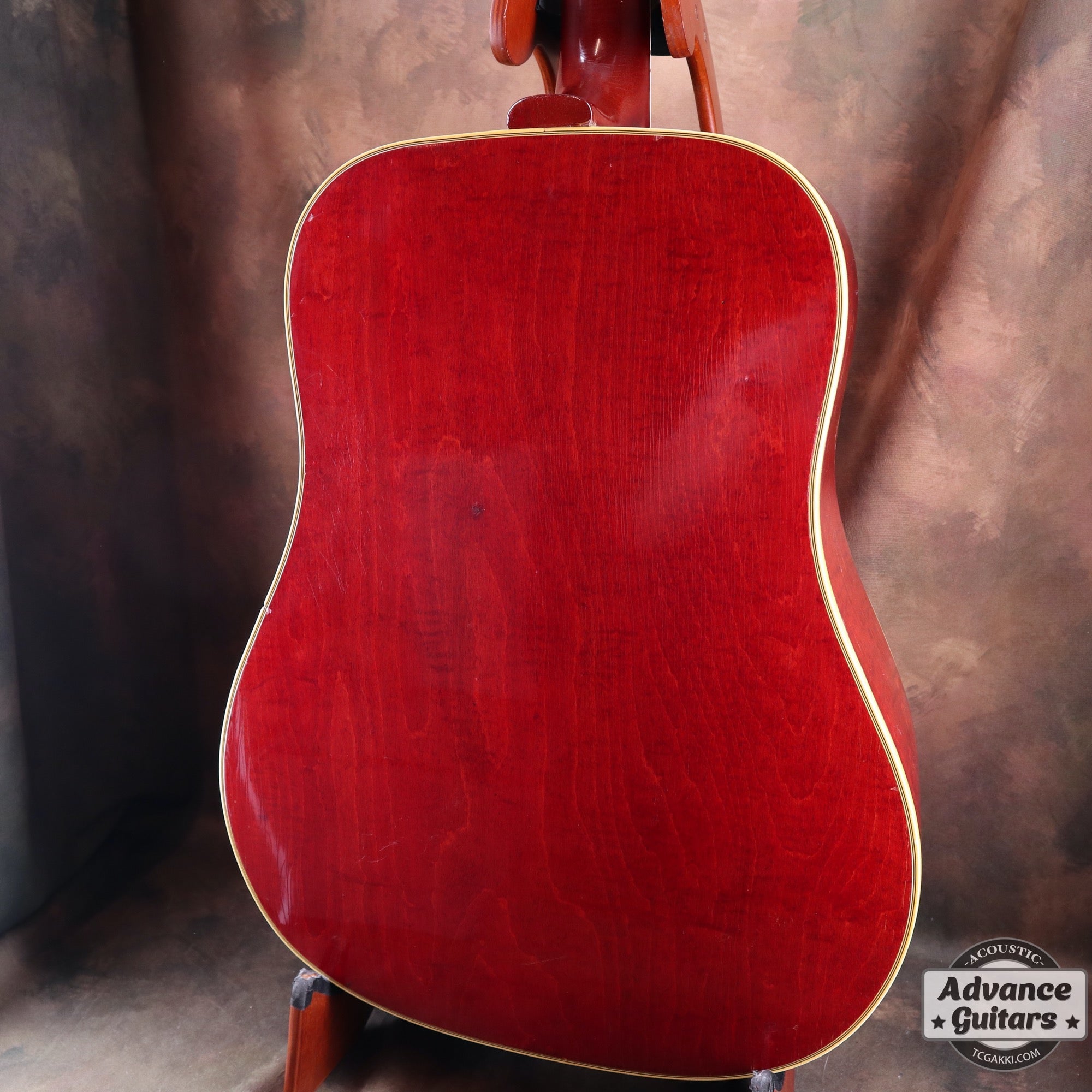 1965 Dove Natural - TC楽器 - TCGAKKI