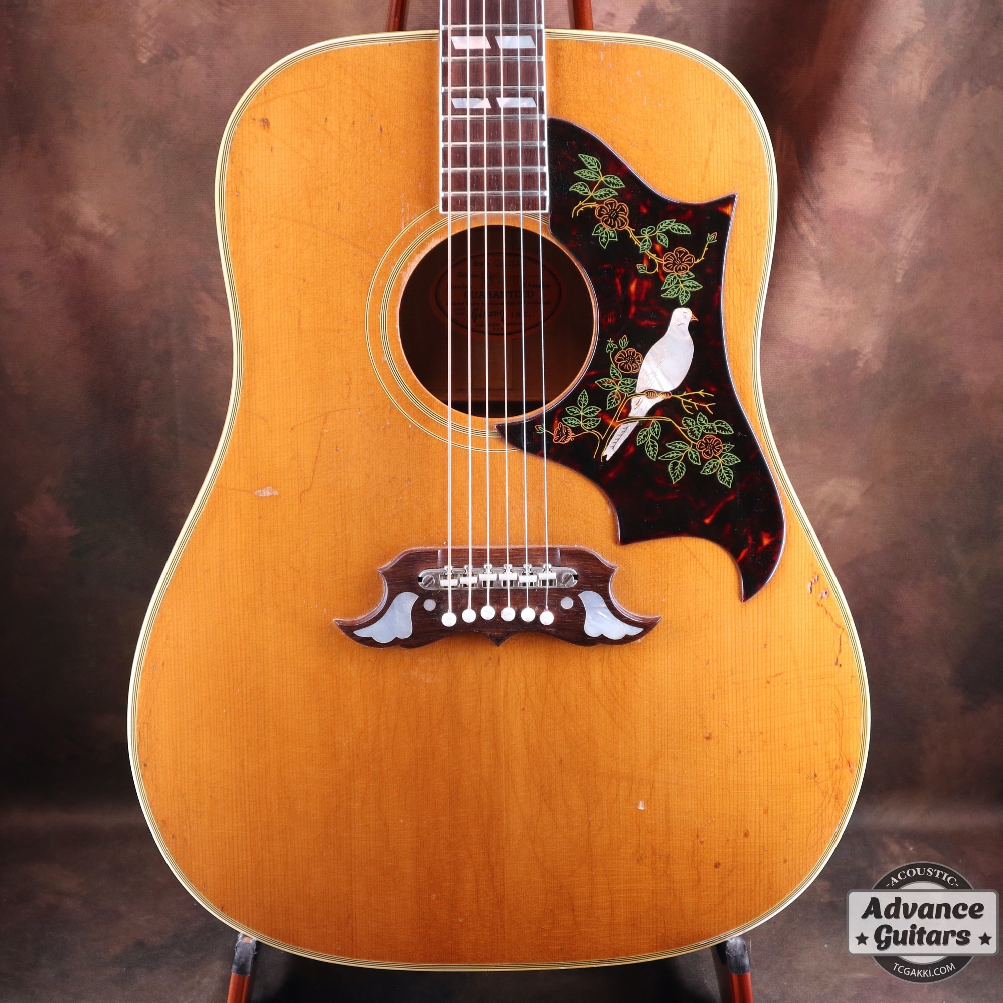 1965 Dove Natural - TC楽器 - TCGAKKI