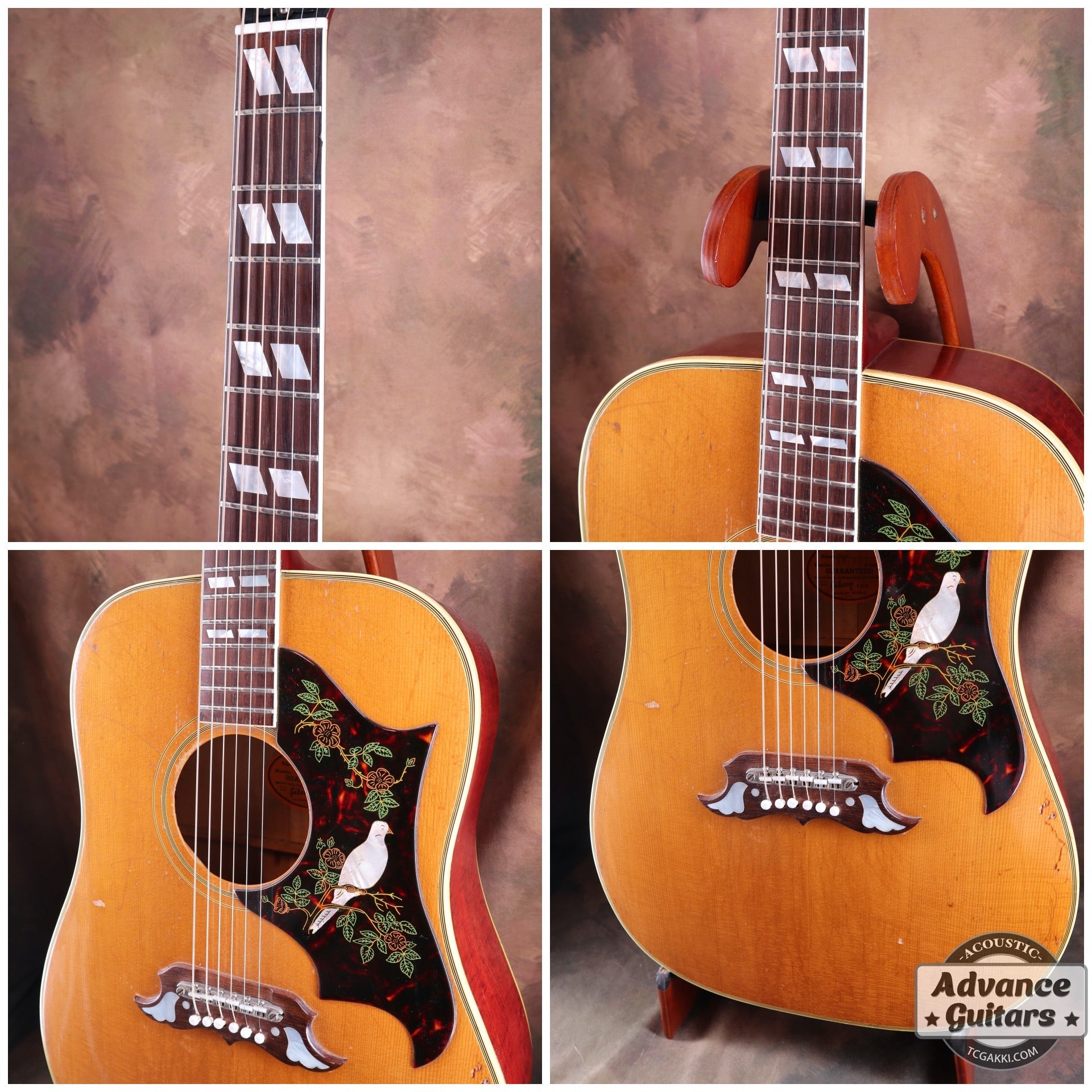 1965 Dove Natural - TC楽器 - TCGAKKI
