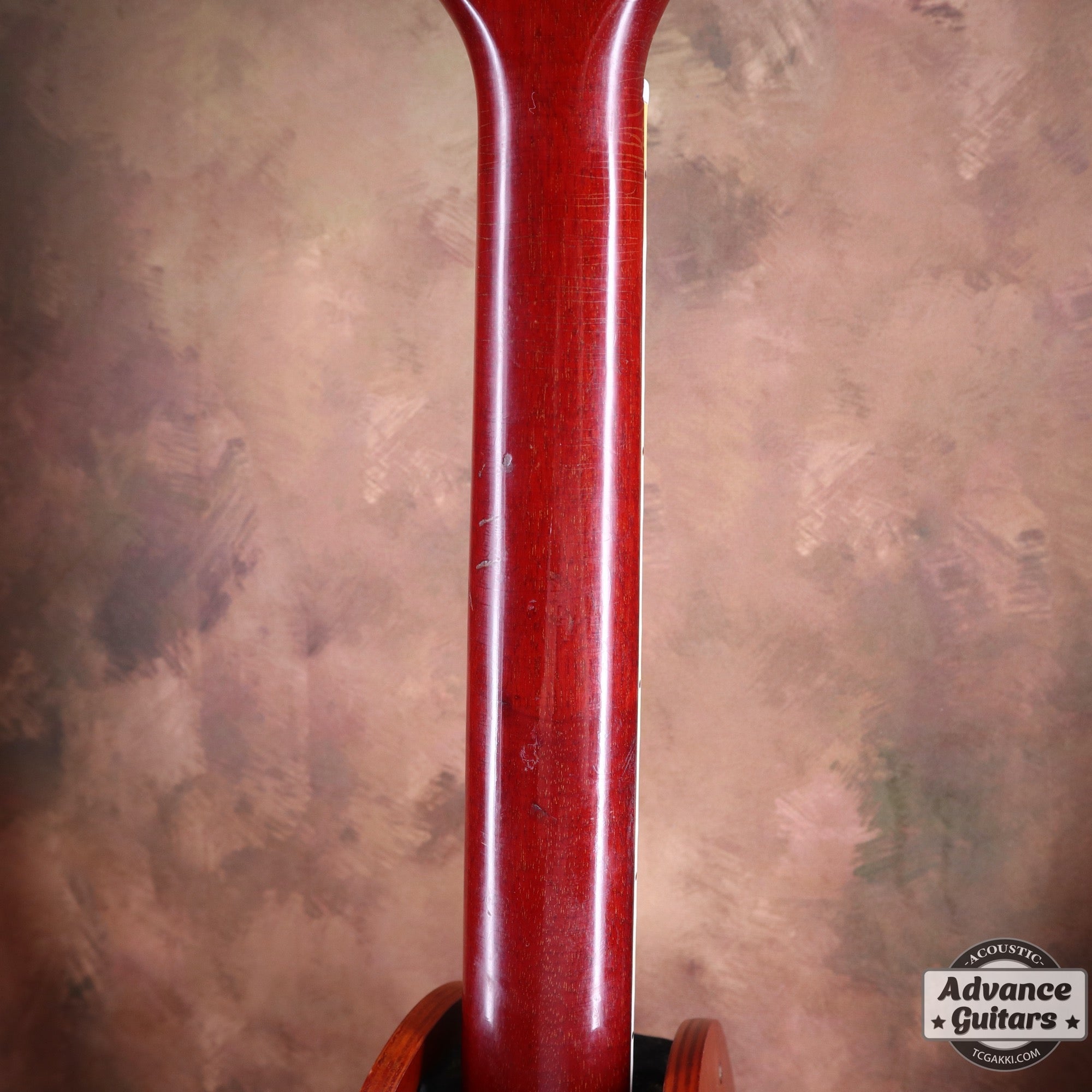 1965 Dove Natural - TC楽器 - TCGAKKI