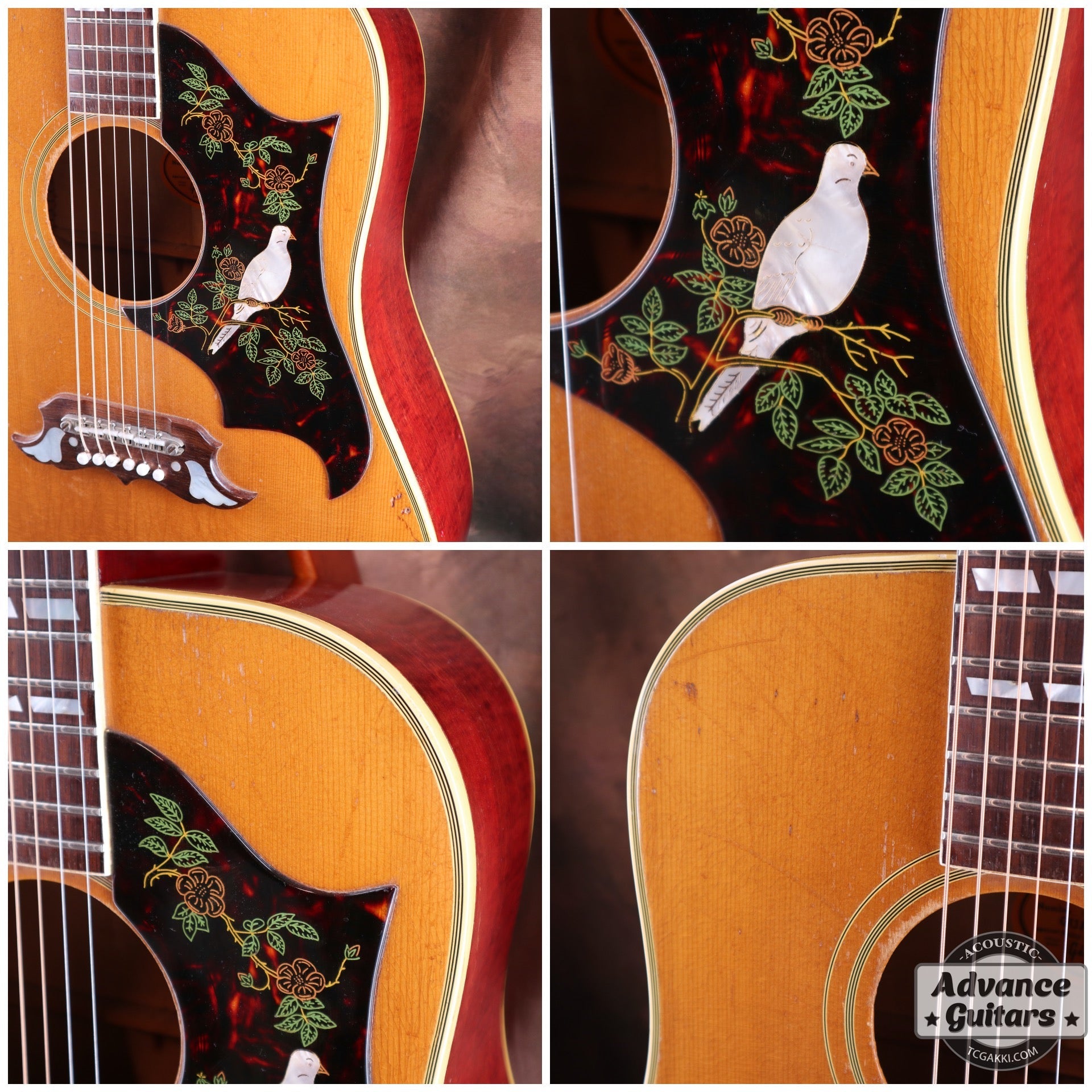 1965 Dove Natural - TC楽器 - TCGAKKI
