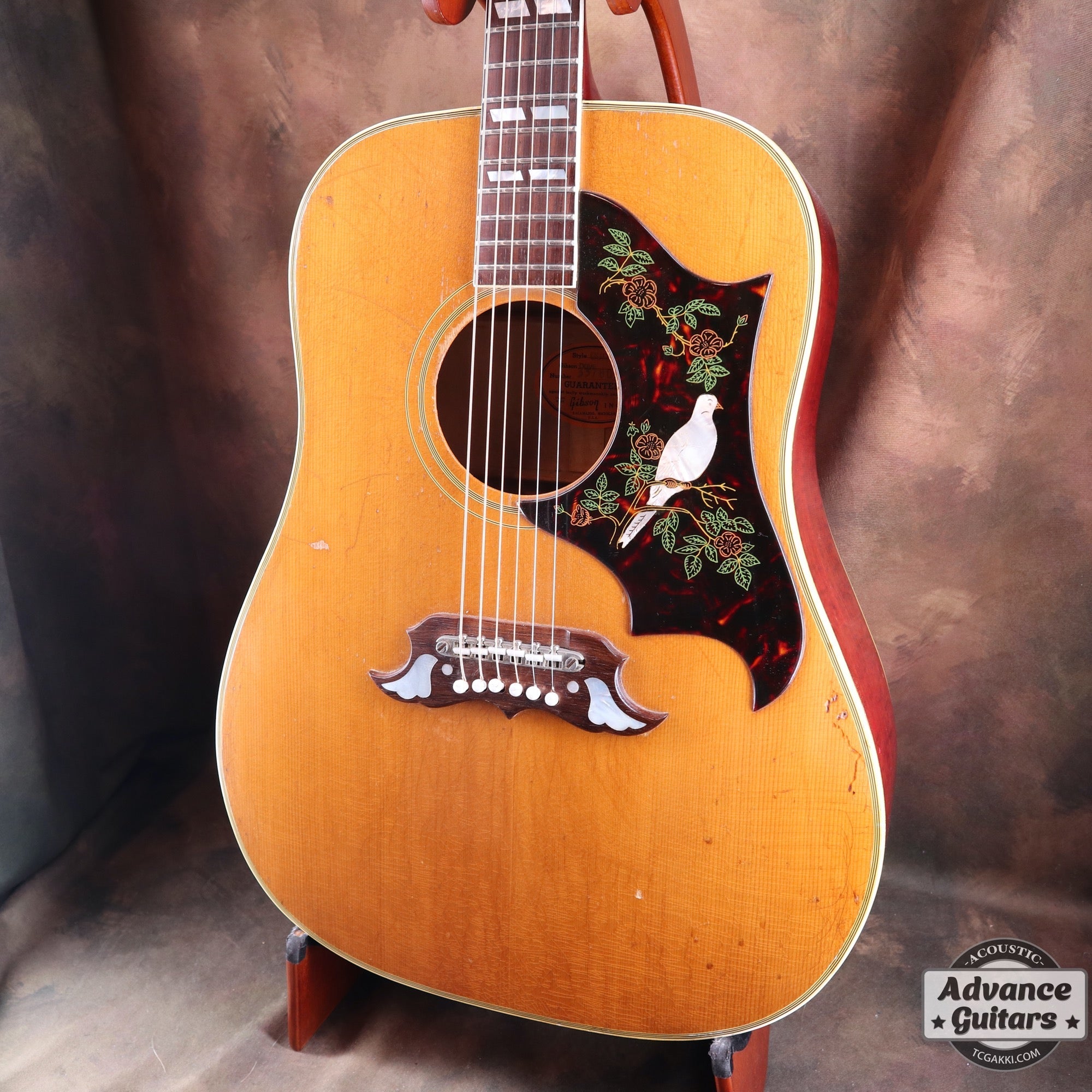 1965 Dove Natural - TC楽器 - TCGAKKI
