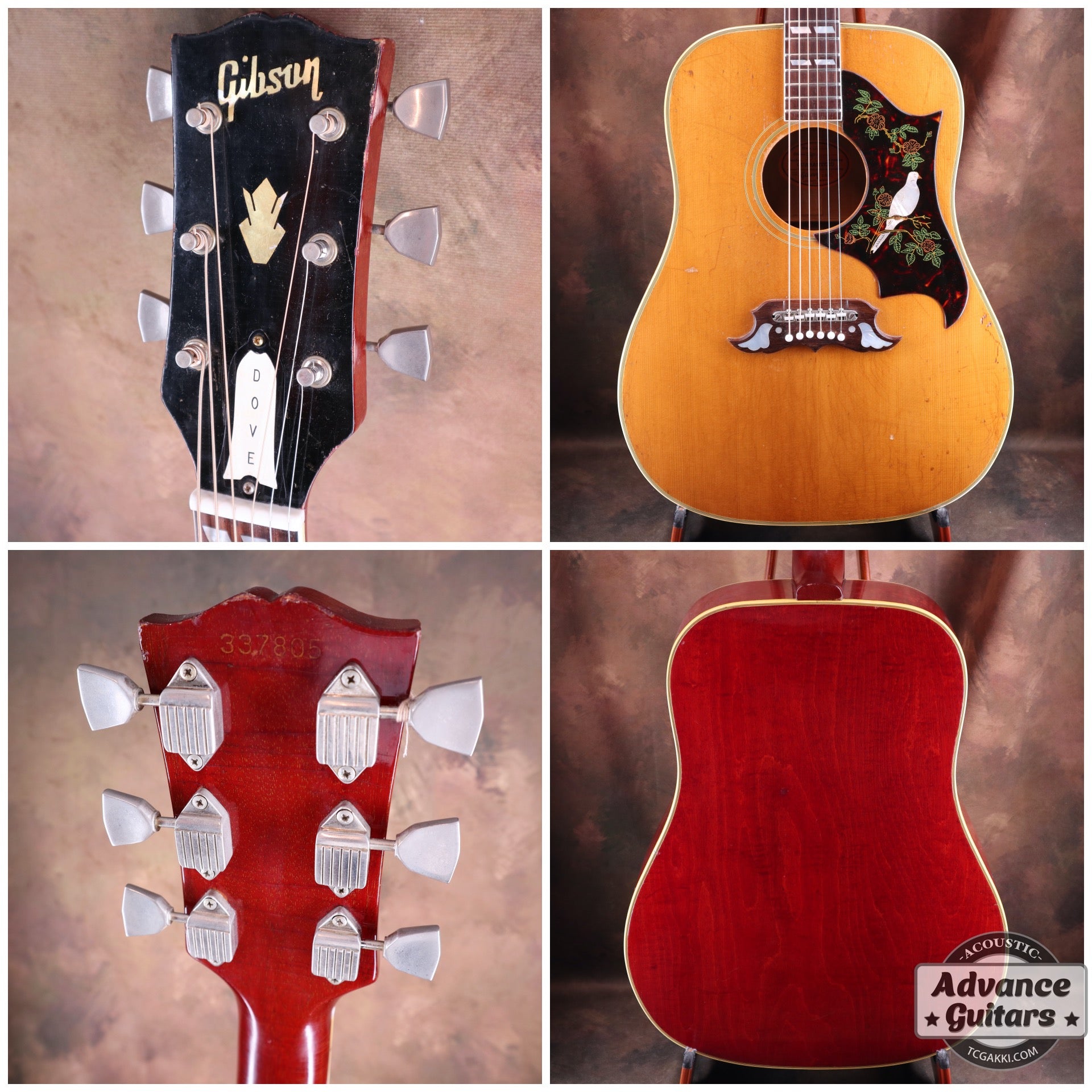 1965 Dove Natural - TC楽器 - TCGAKKI