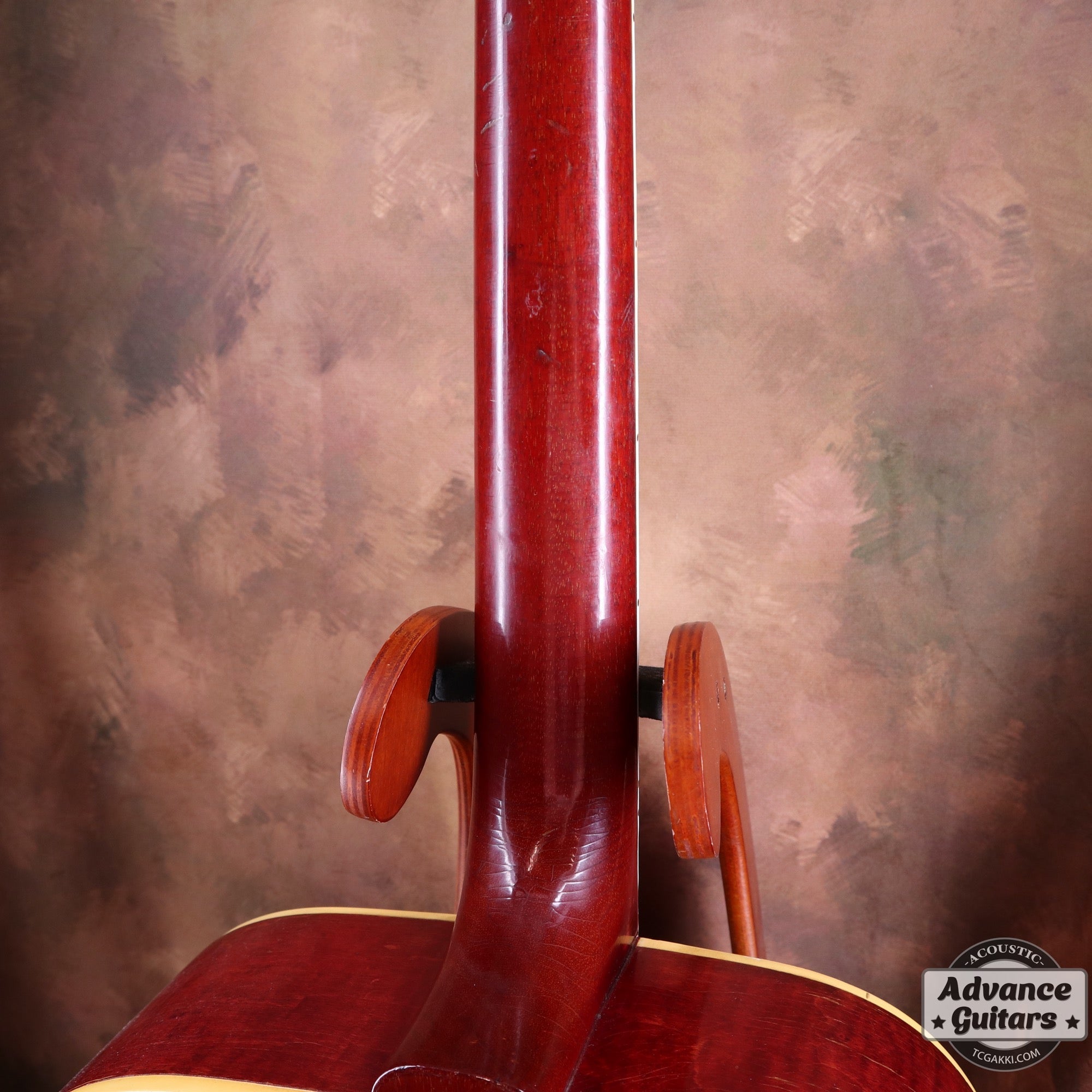 1965 Dove Natural - TC楽器 - TCGAKKI