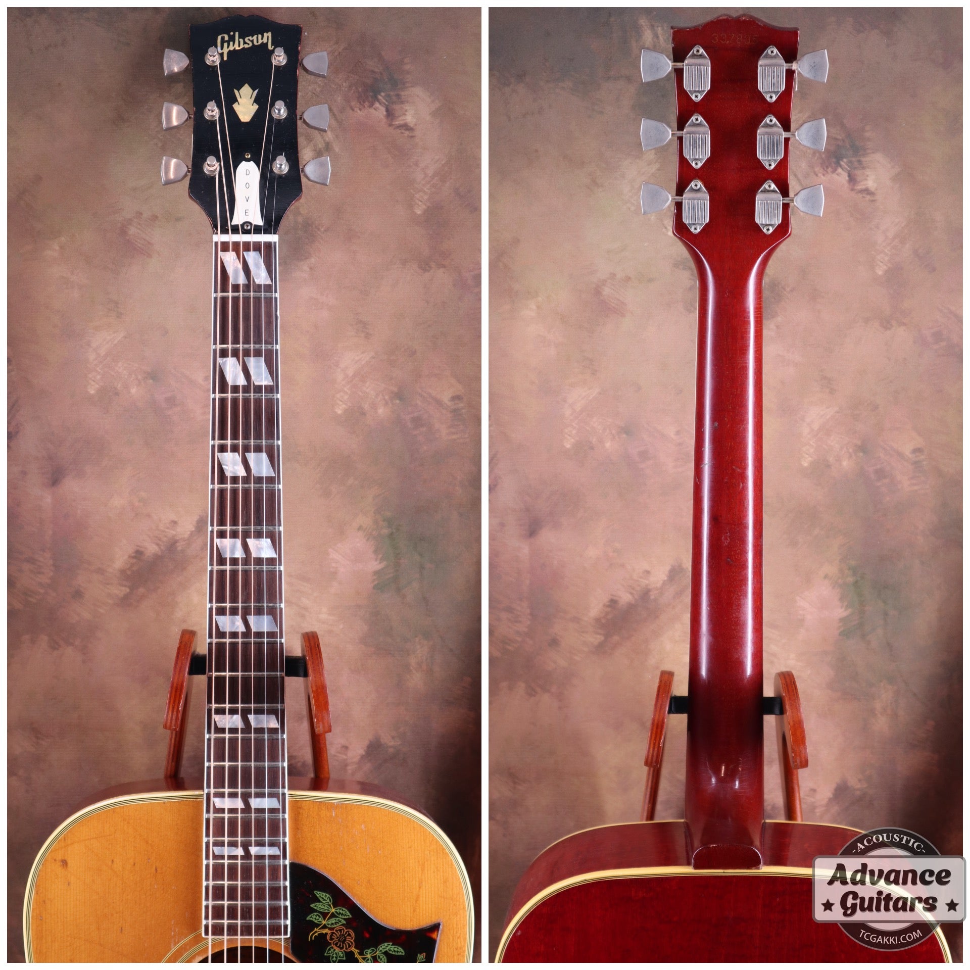 1965 Dove Natural - TC楽器 - TCGAKKI
