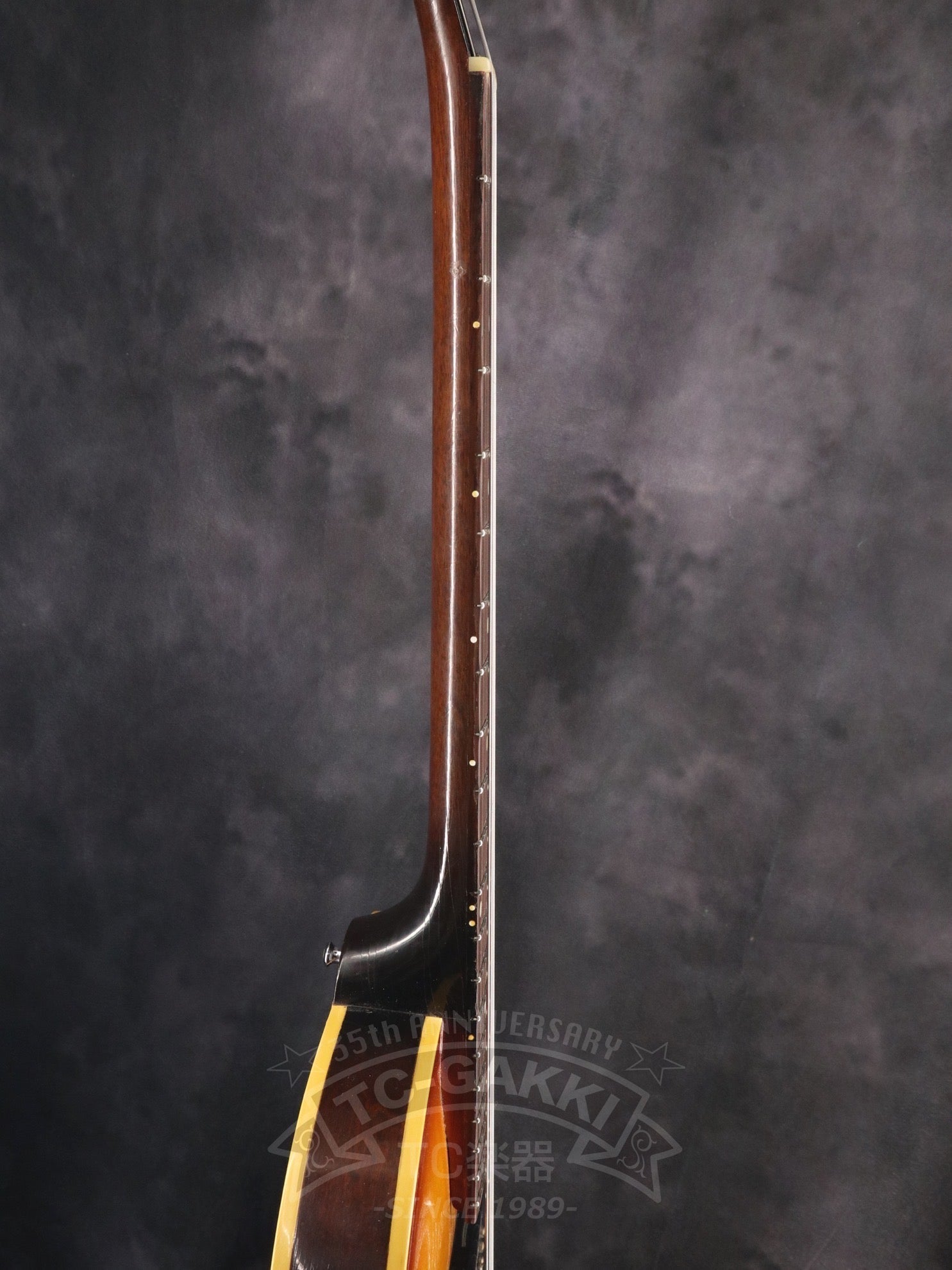 1965 E422T Century - TC楽器 - TCGAKKI