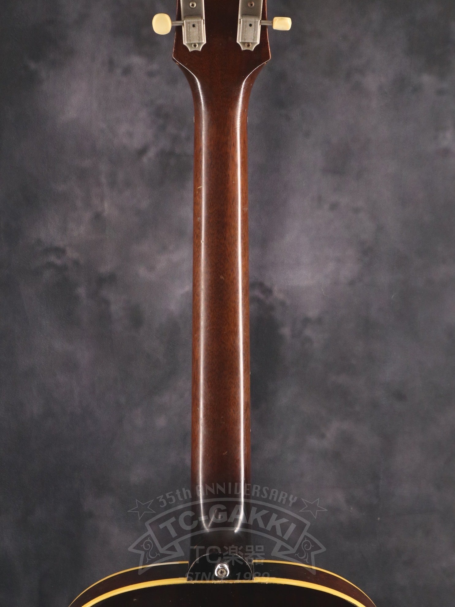 1965 E422T Century - TC楽器 - TCGAKKI