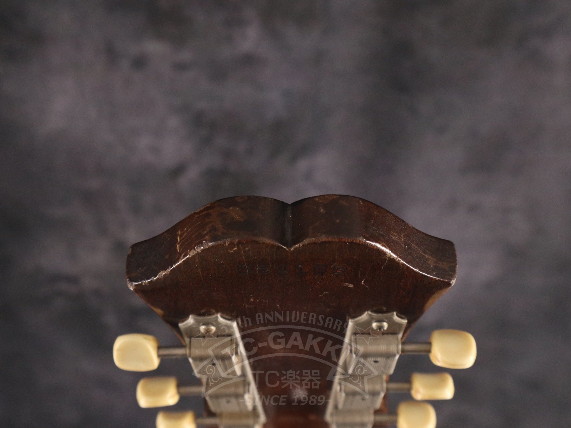 1965 E422T Century - TC楽器 - TCGAKKI
