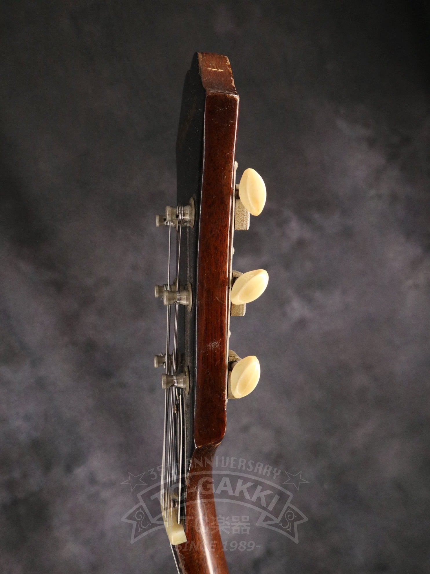 1965 E422T Century - TC楽器 - TCGAKKI