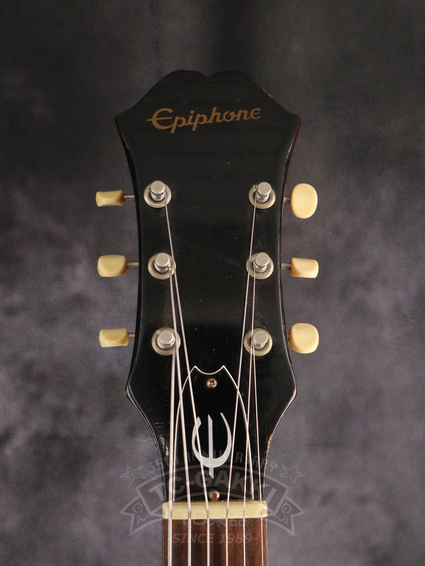 1965 E422T Century - TC楽器 - TCGAKKI