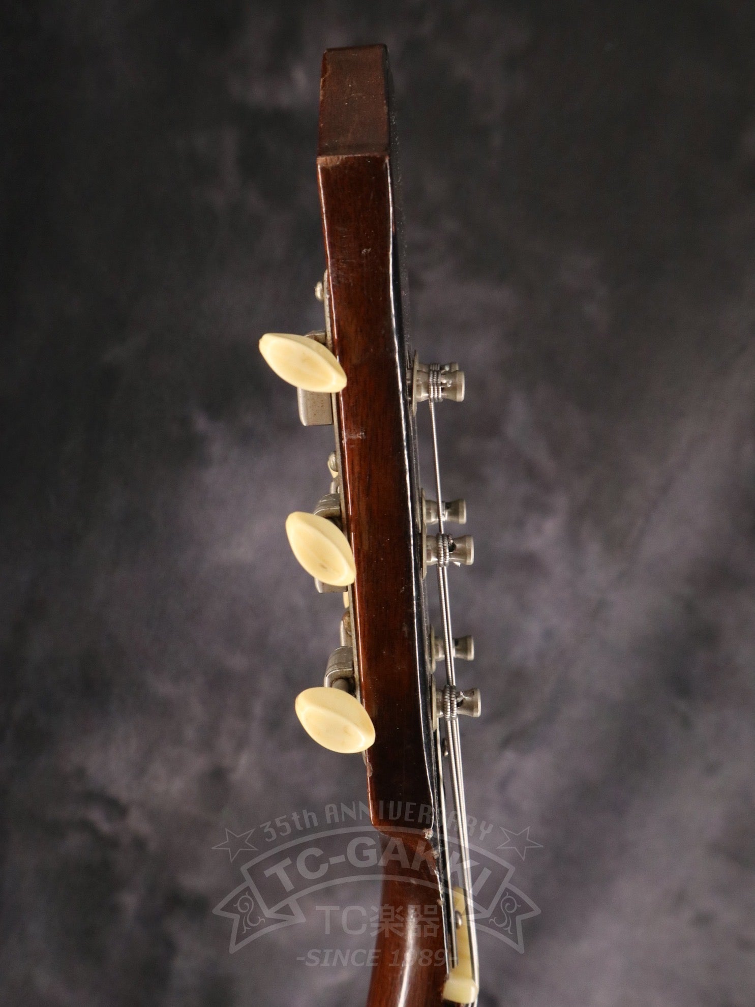 1965 E422T Century - TC楽器 - TCGAKKI