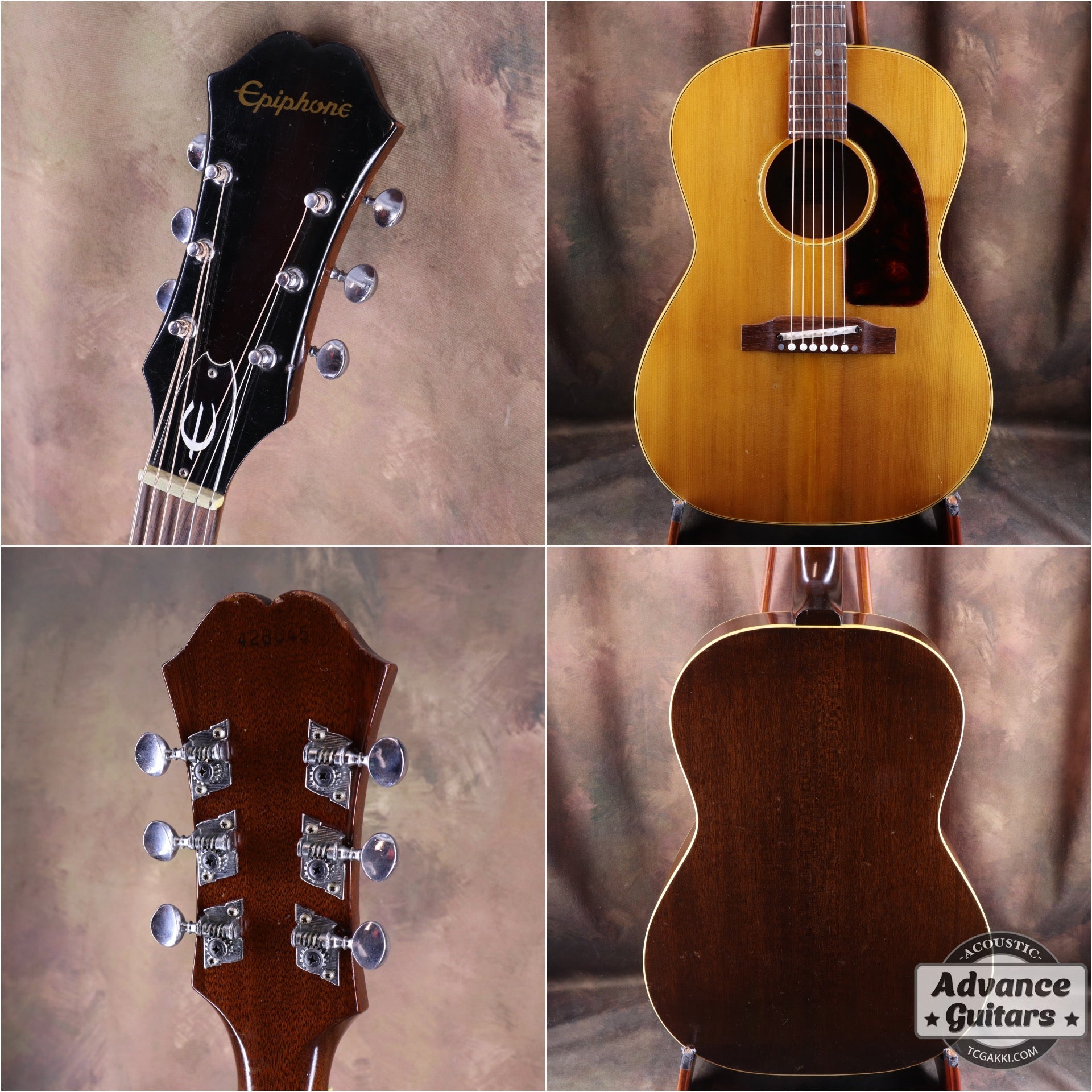 1966年製 FT - 45 Cortez - TC楽器 - TCGAKKI