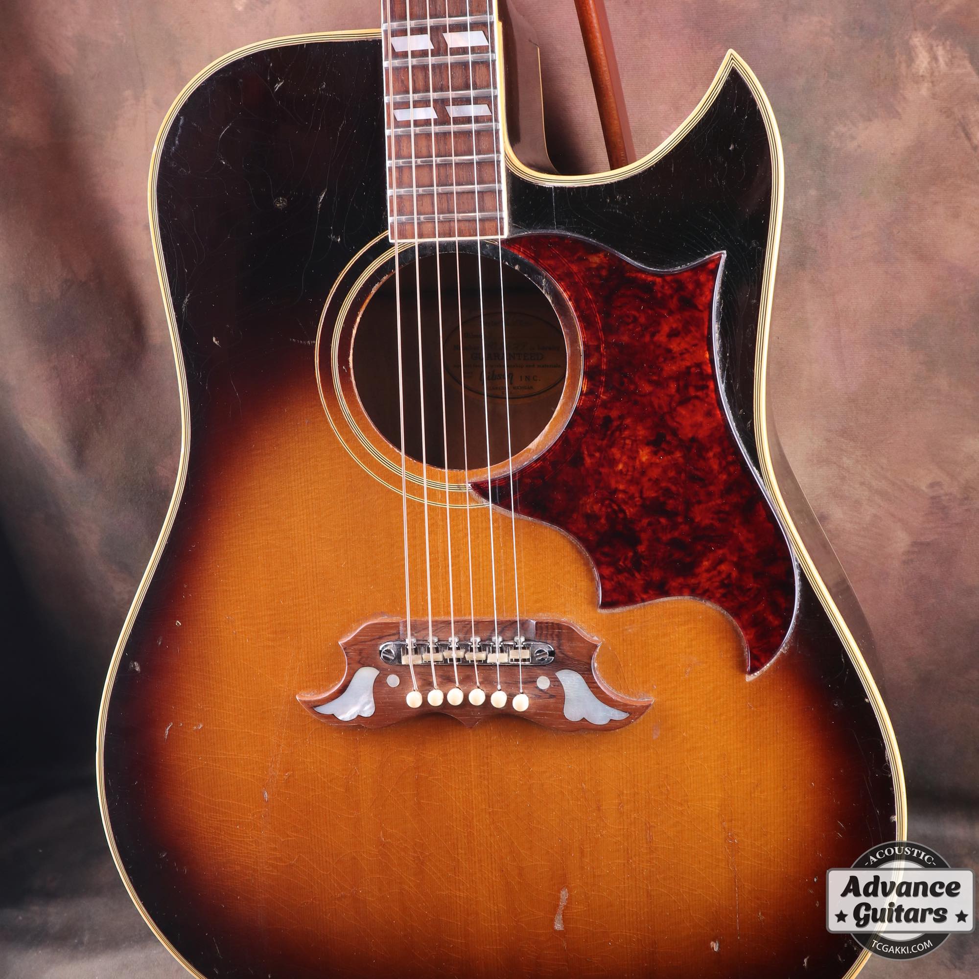 1966~67 Dove Cutaway Custom - TC楽器 - TCGAKKI