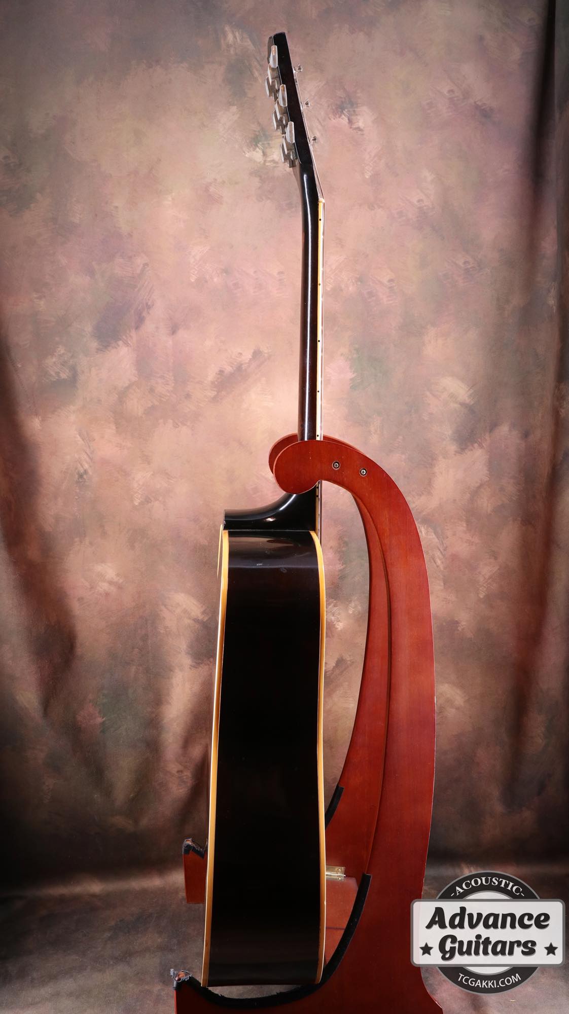 1966~67 Dove Cutaway Custom - TC楽器 - TCGAKKI