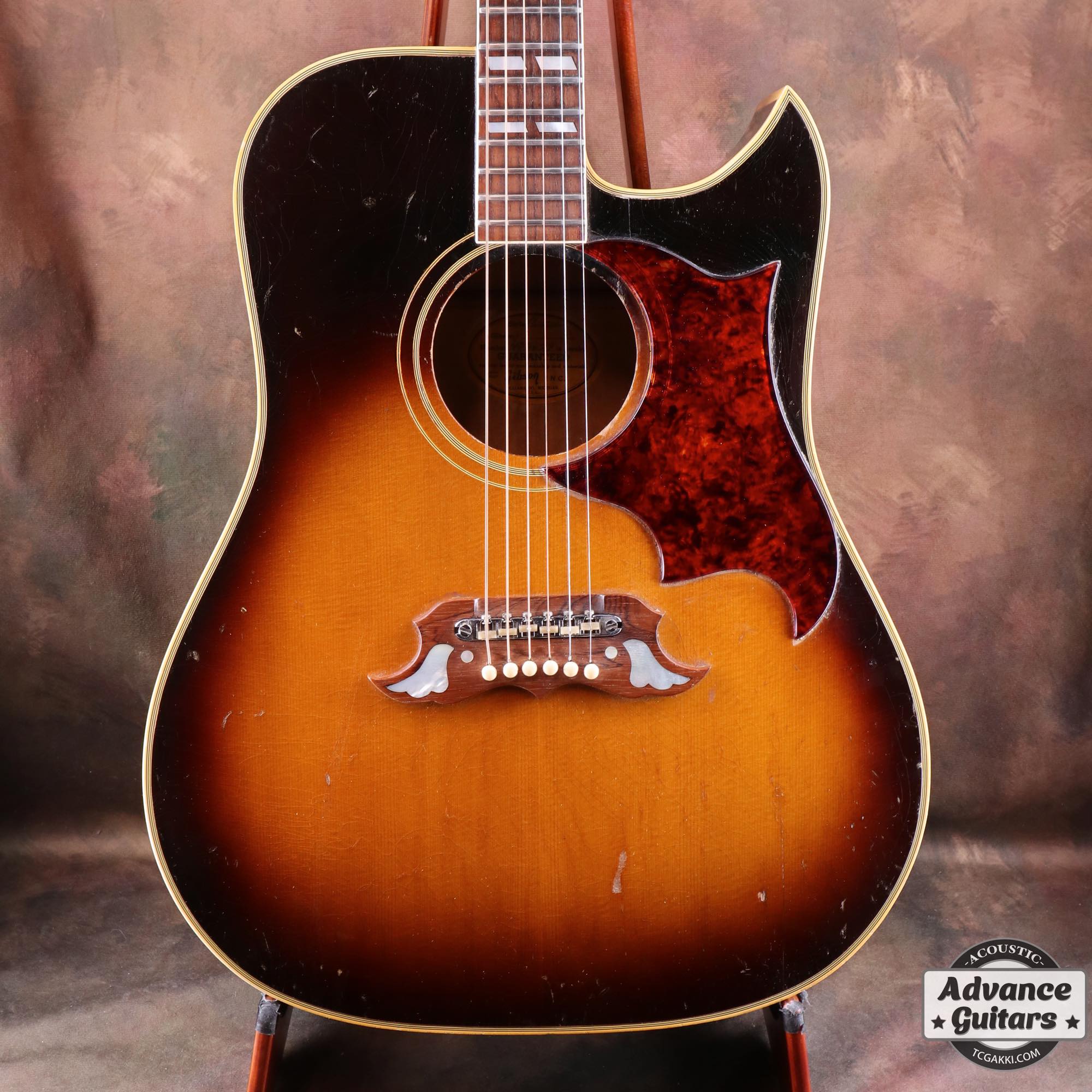 1966~67 Dove Cutaway Custom - TC楽器 - TCGAKKI