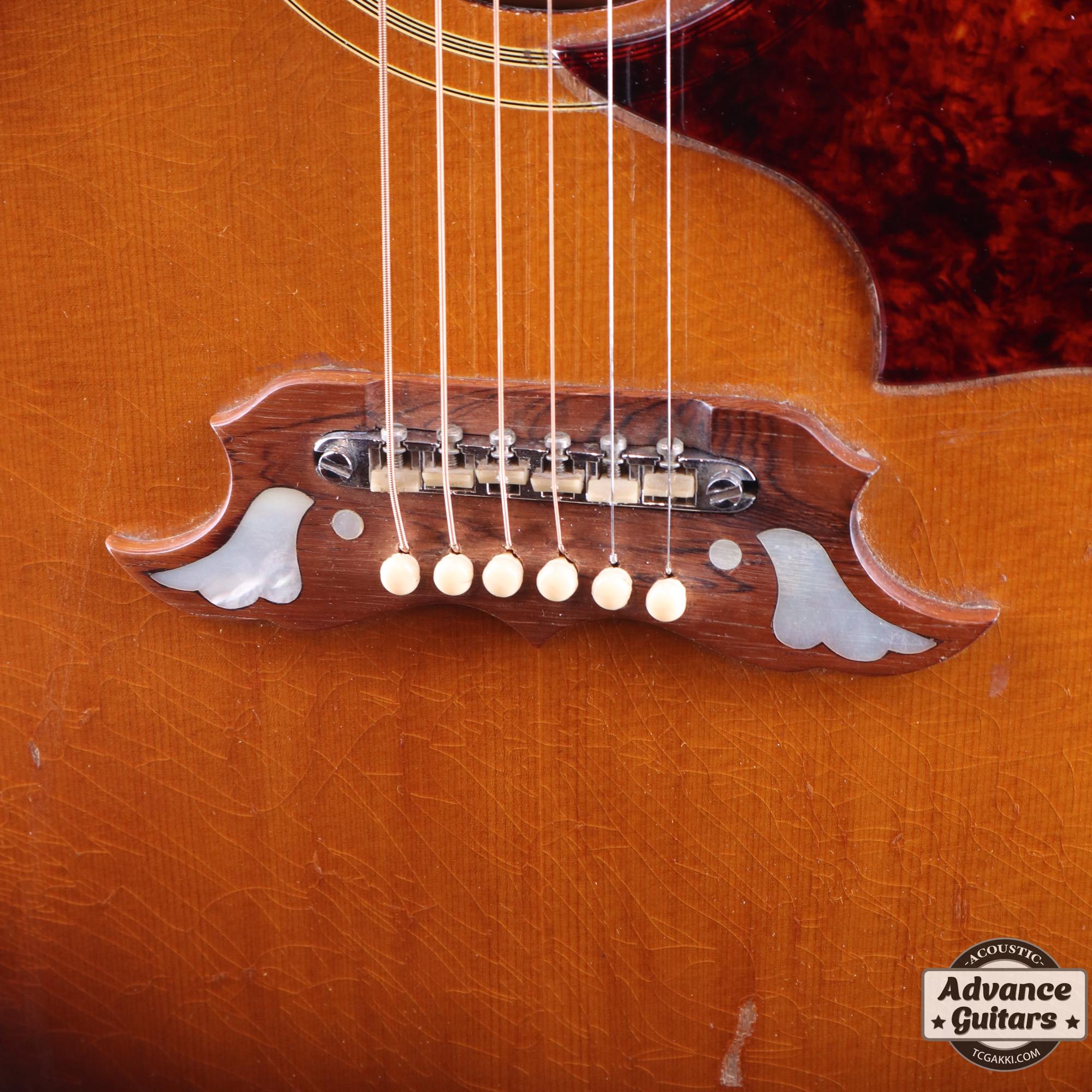 1966~67 Dove Cutaway Custom - TC楽器 - TCGAKKI