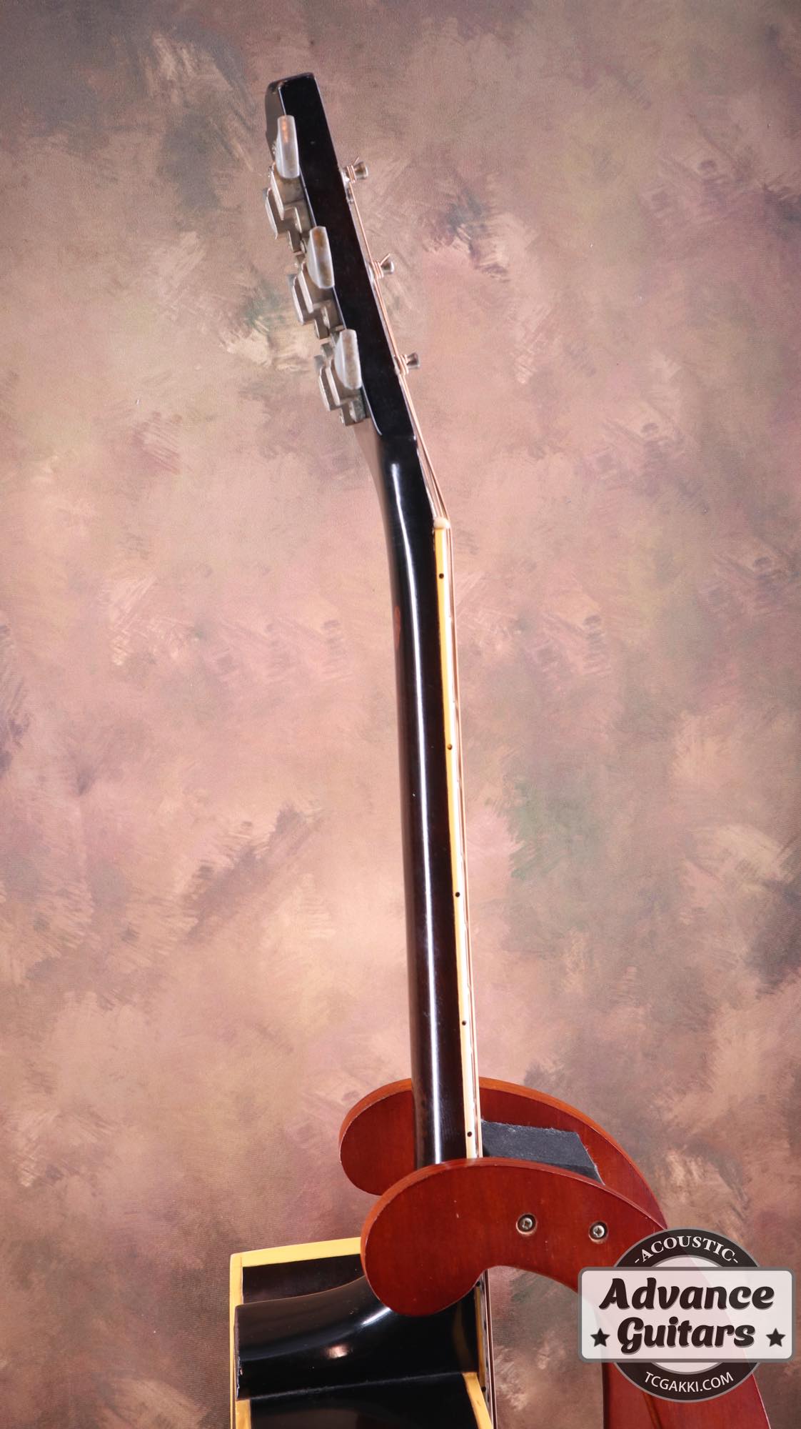 1966~67 Dove Cutaway Custom - TC楽器 - TCGAKKI