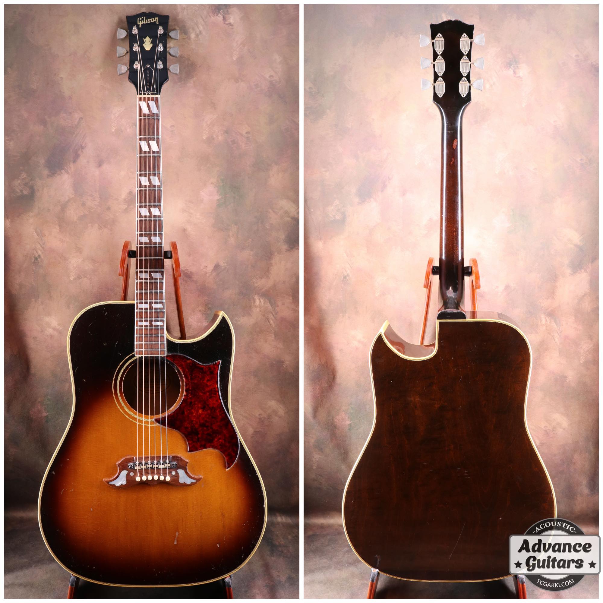 1966~67 Dove Cutaway Custom - TC楽器 - TCGAKKI