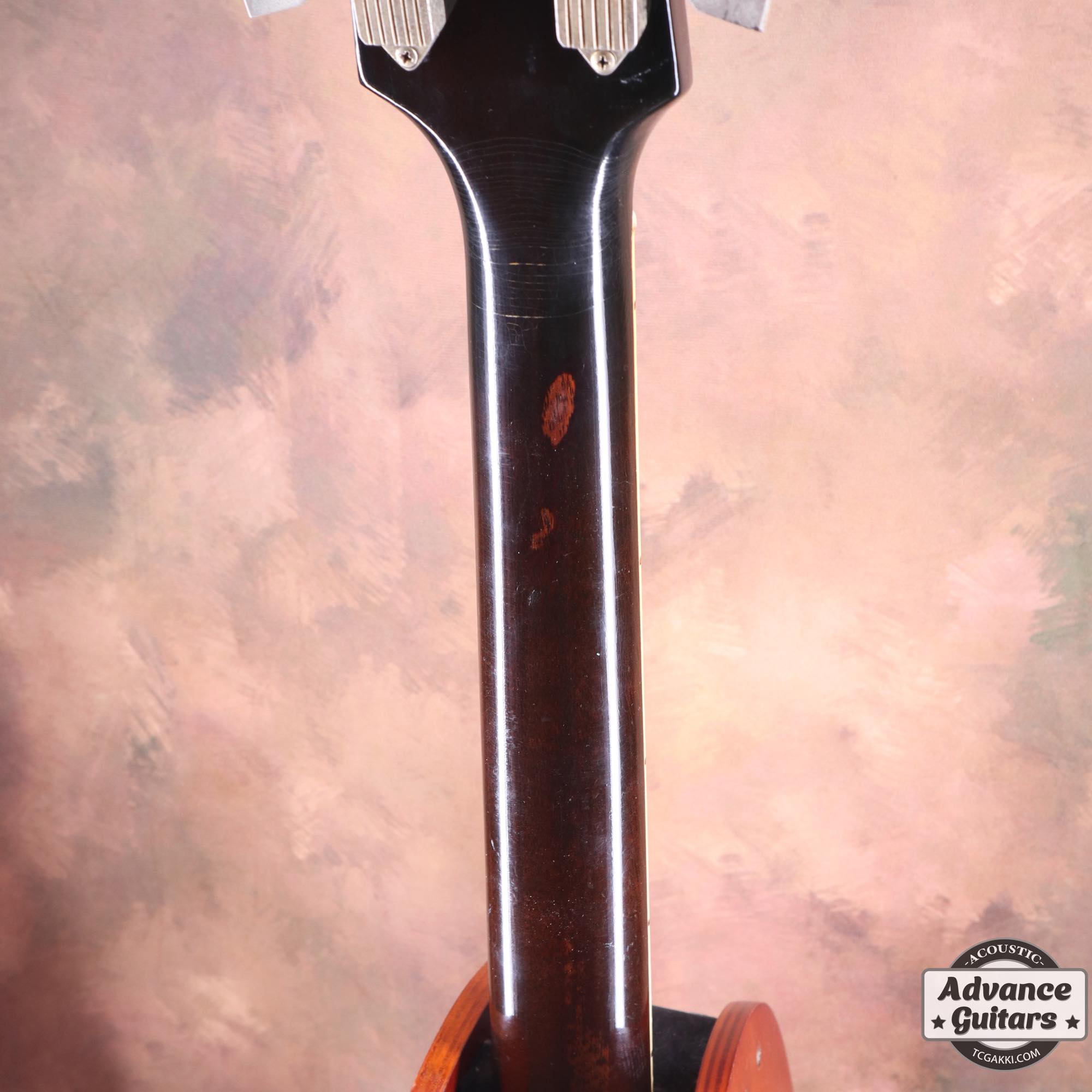 1966~67 Dove Cutaway Custom - TC楽器 - TCGAKKI