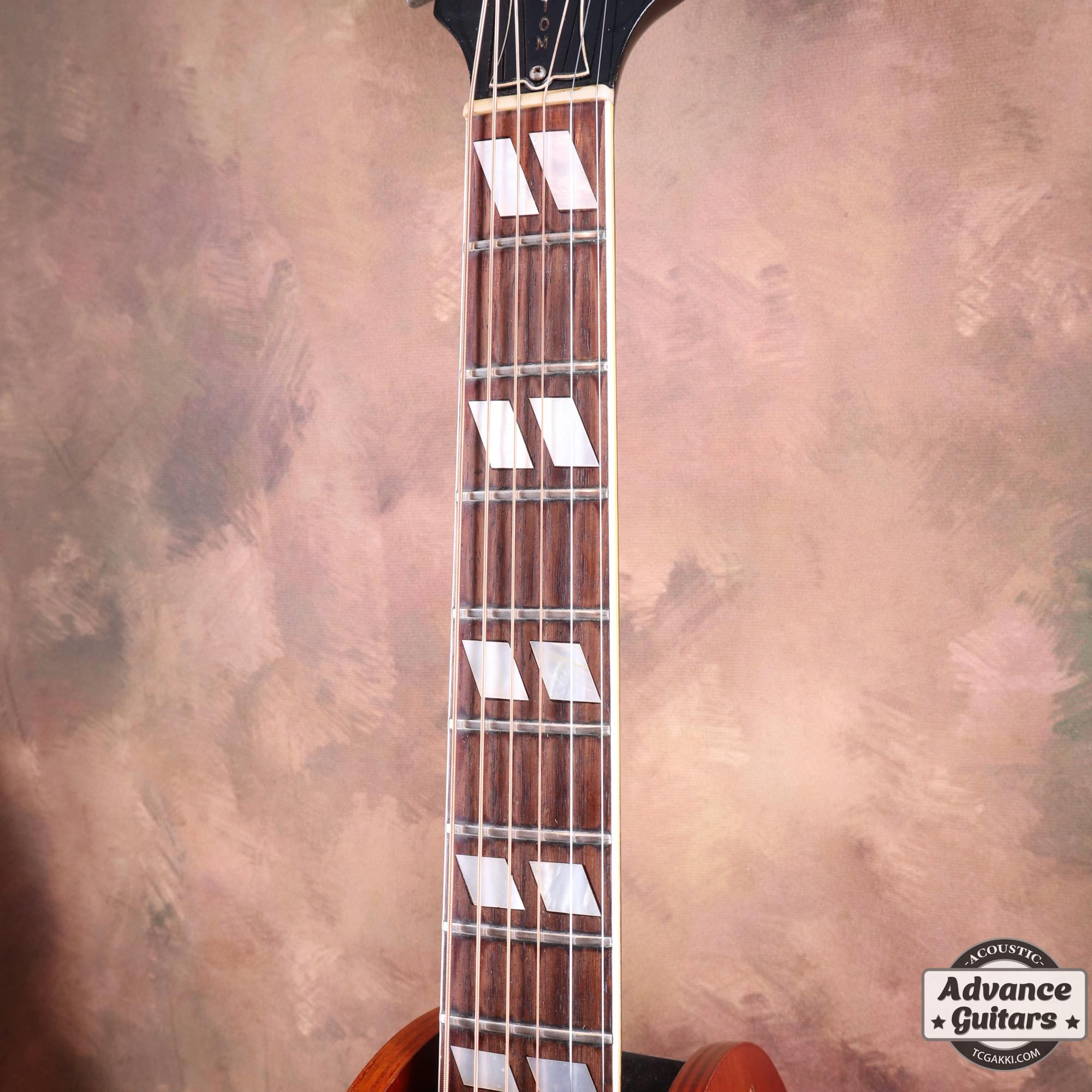 1966~67 Dove Cutaway Custom - TC楽器 - TCGAKKI