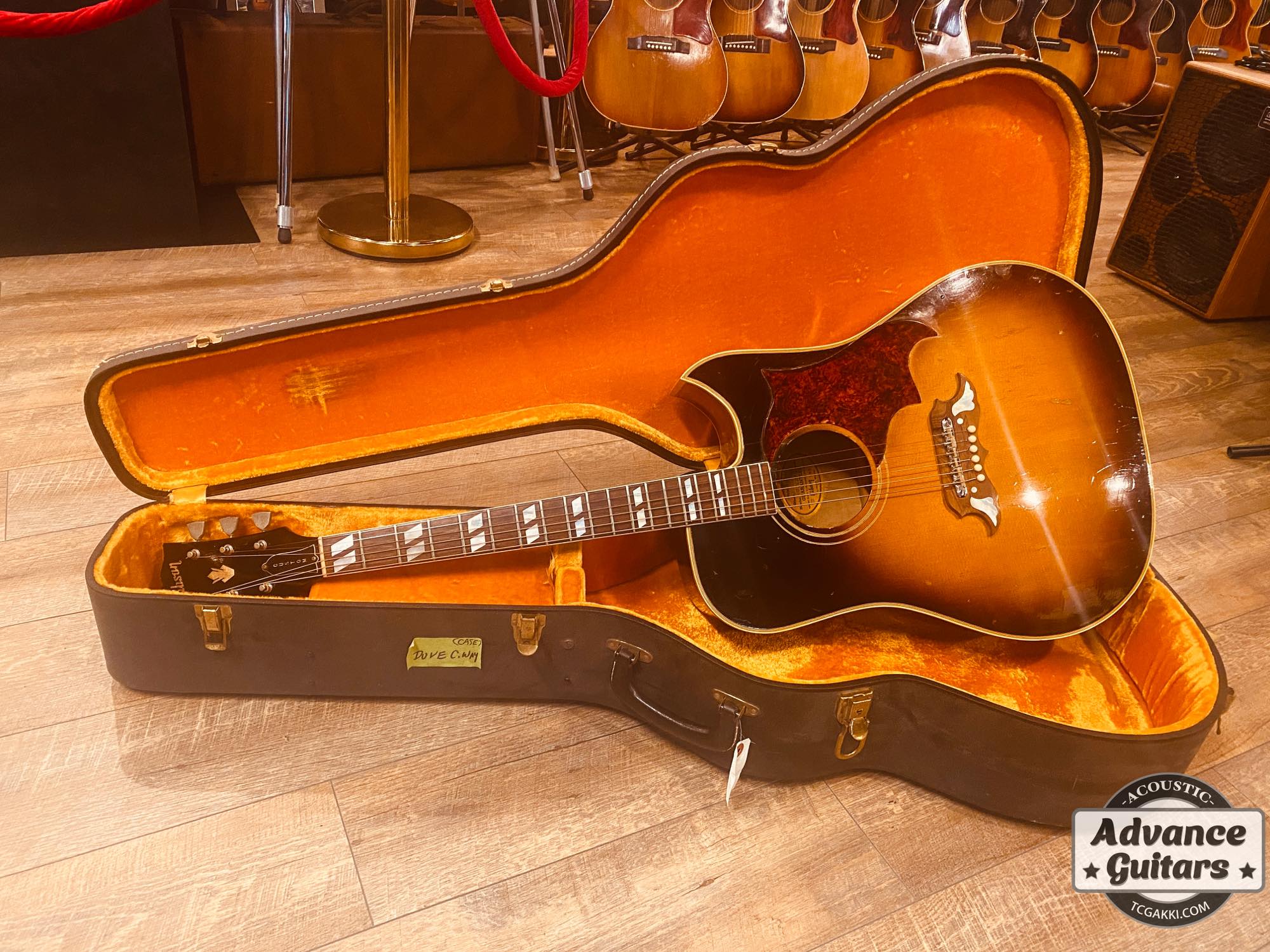 1966~67 Dove Cutaway Custom - TC楽器 - TCGAKKI