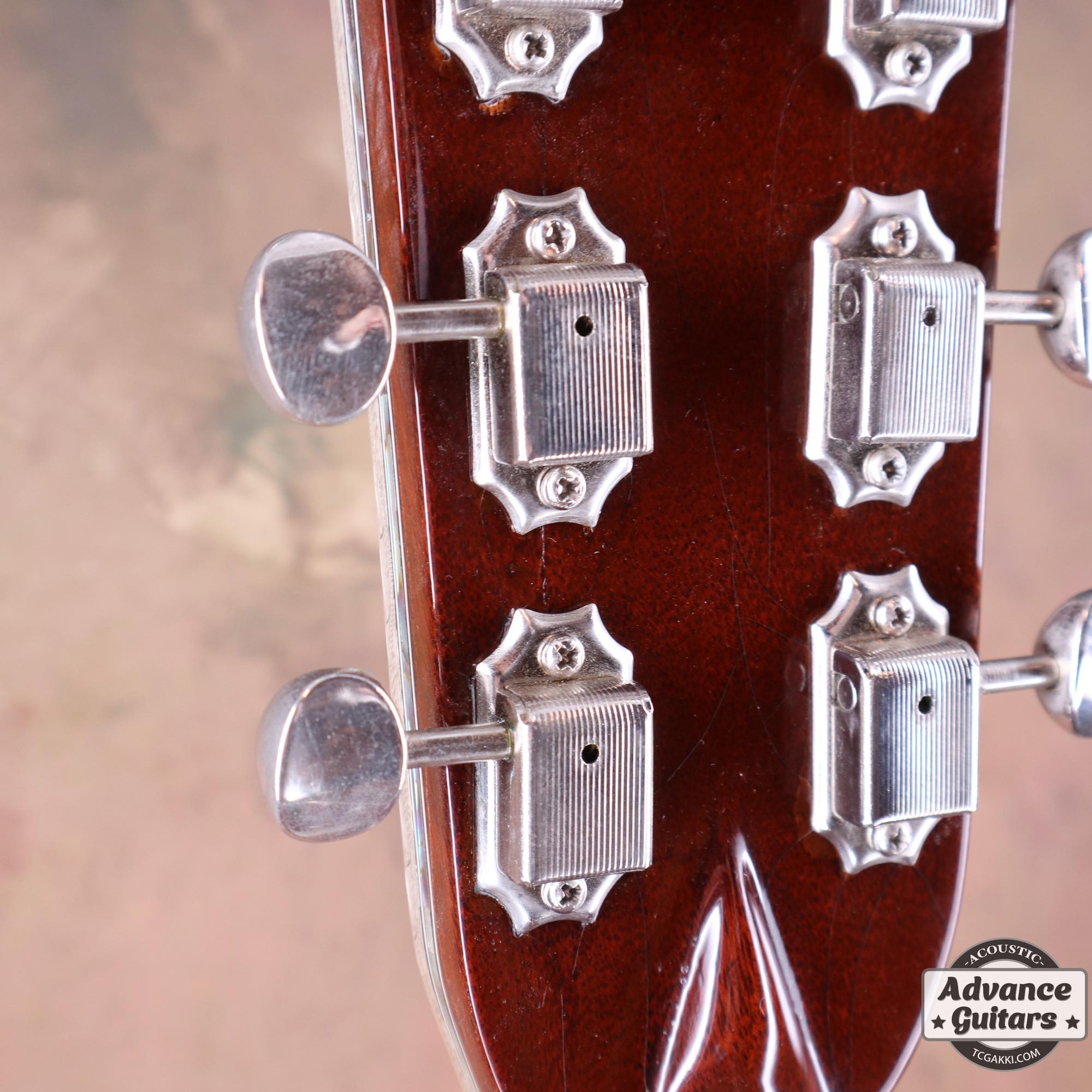 1967年製 D - 28 "TRAIN"(Inlayed by Larry Robinson,Engraved by Greg Rich) - TC楽器 - TCGAKKI