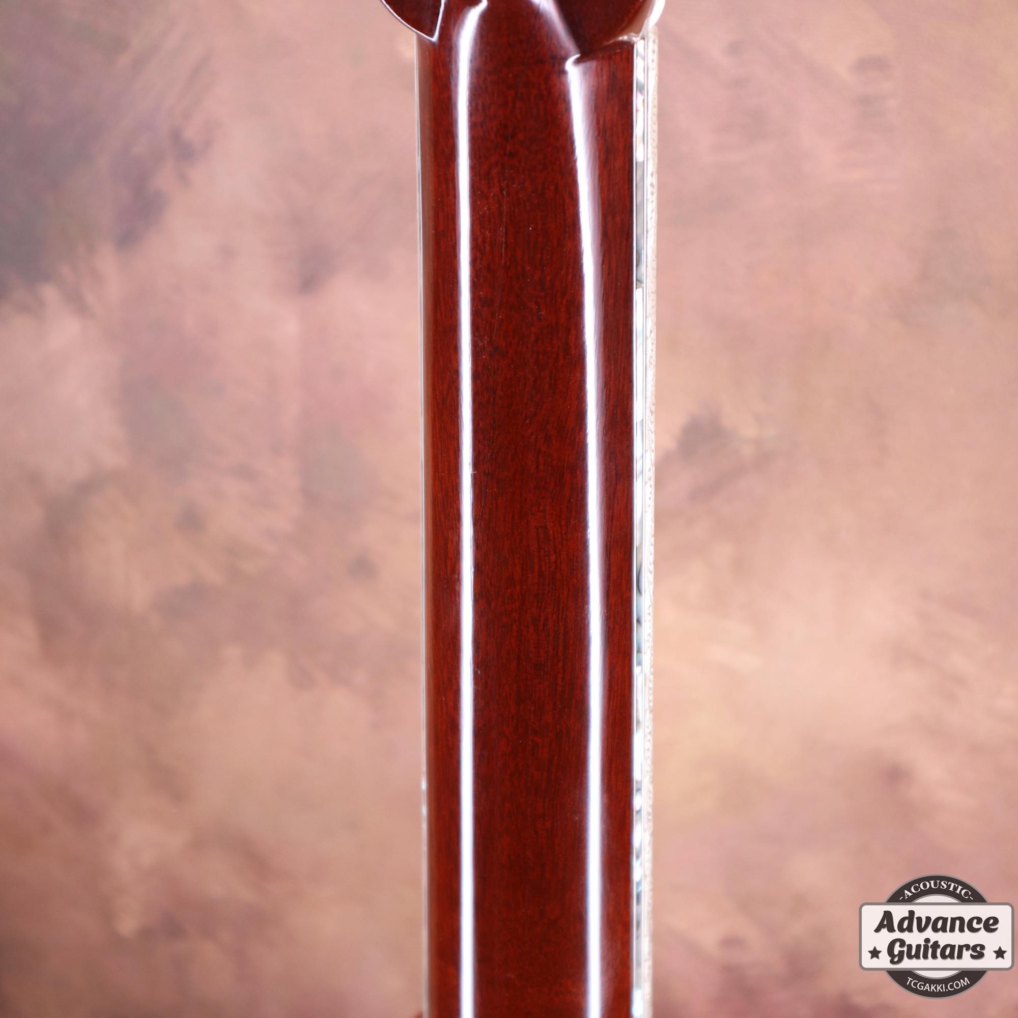 1967年製 D - 28 "TRAIN"(Inlayed by Larry Robinson,Engraved by Greg Rich) - TC楽器 - TCGAKKI