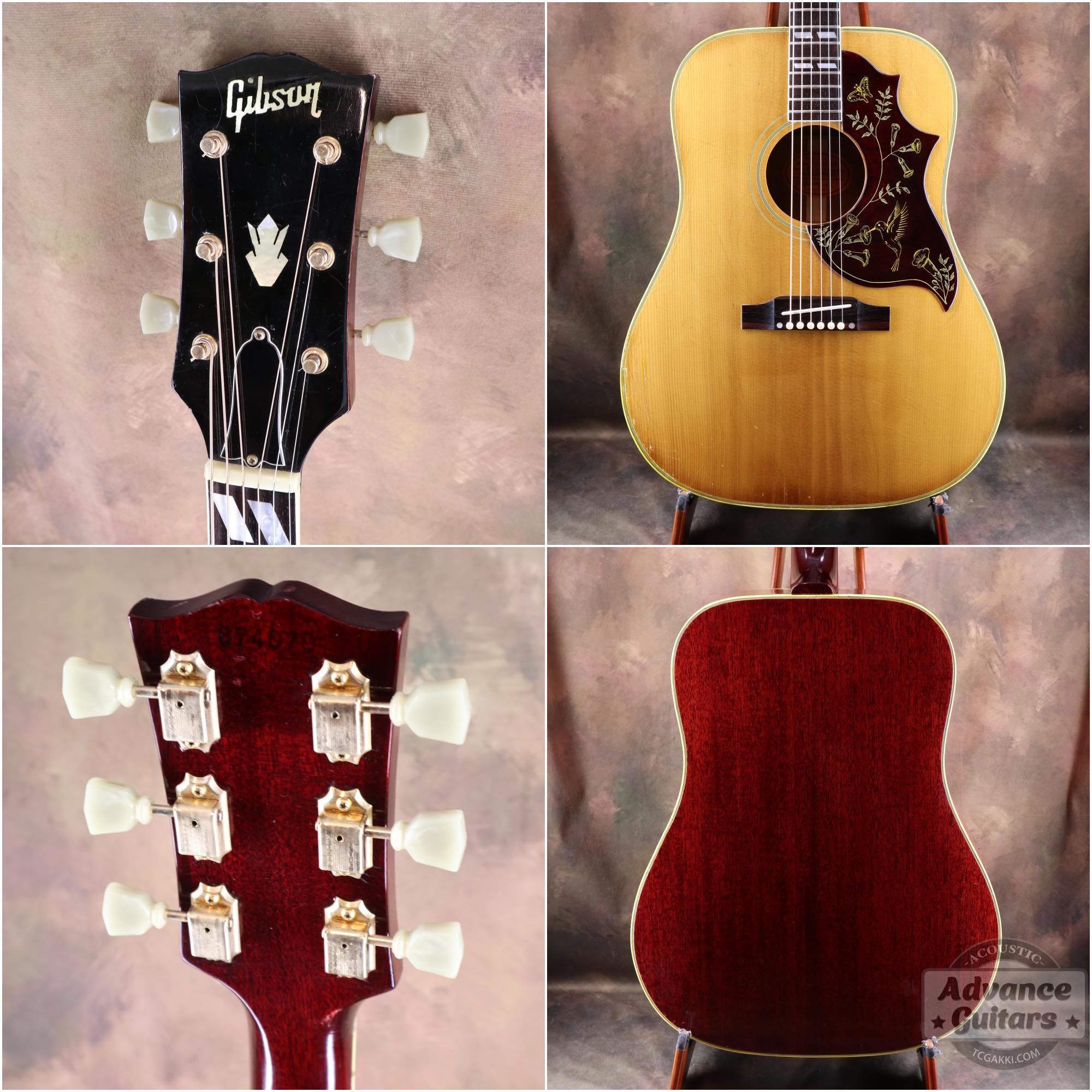 1967年製 Hummingbird Natural - TC楽器 - TCGAKKI