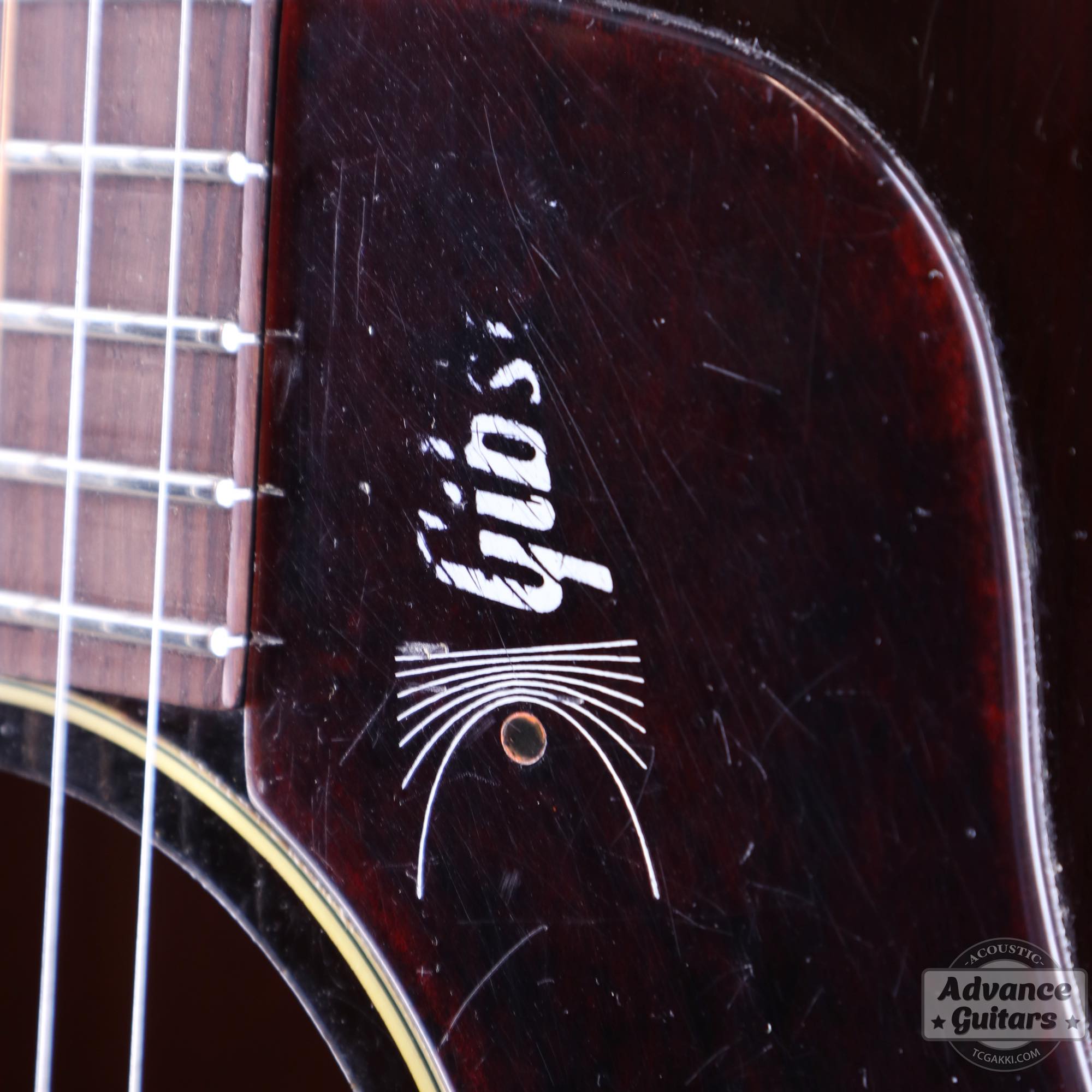 1968年製 B - 25 - TC楽器 - TCGAKKI