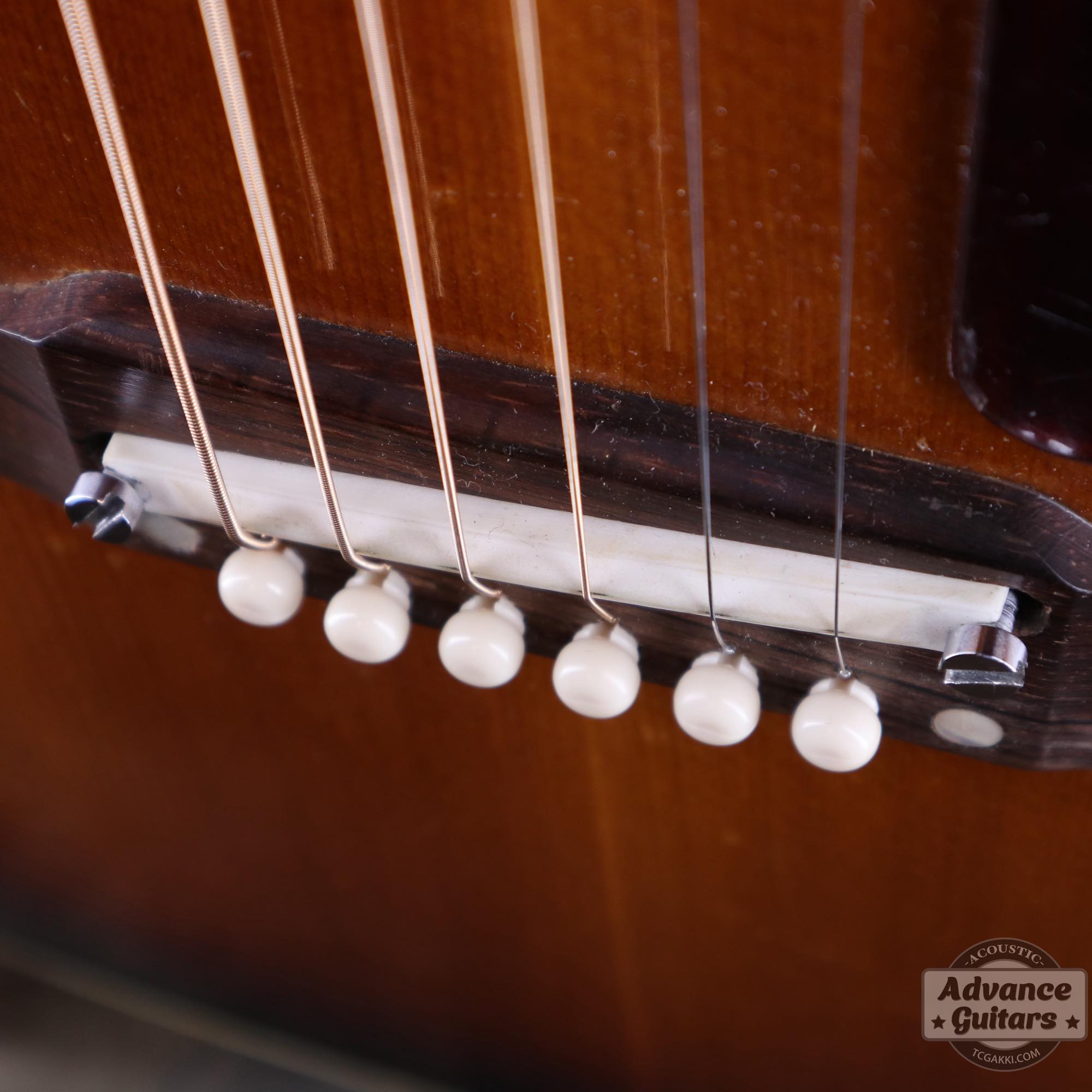 1968年製 B - 25 - TC楽器 - TCGAKKI