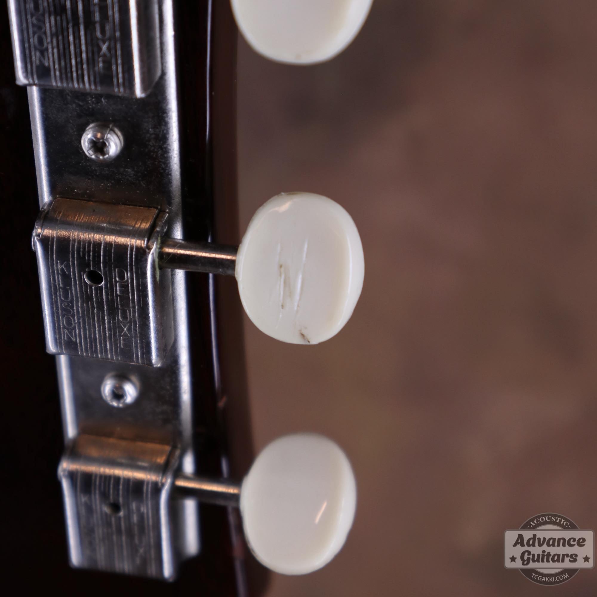 1968年製 B - 25 - TC楽器 - TCGAKKI