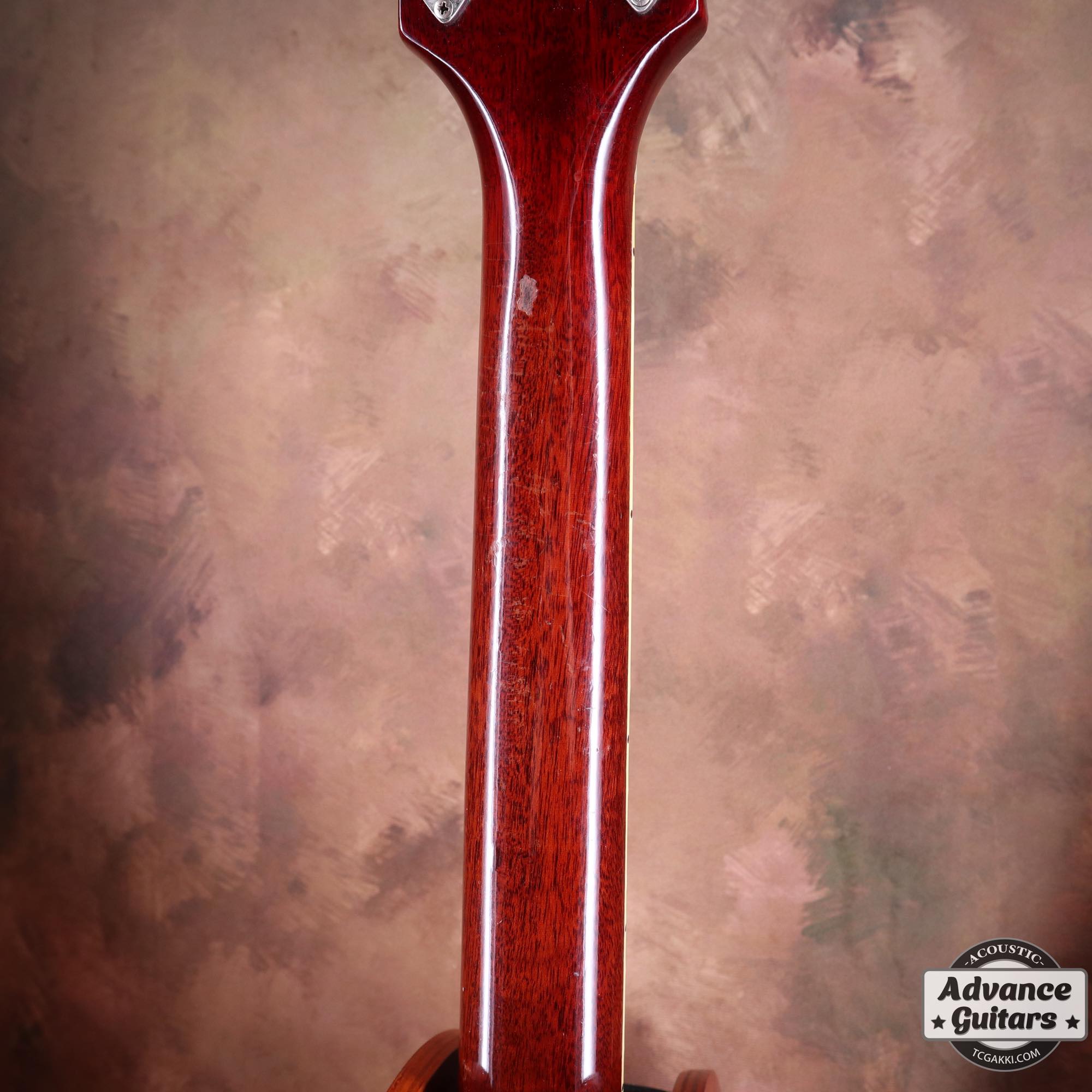 1968 Dove Double Pickguard - TC楽器 - TCGAKKI