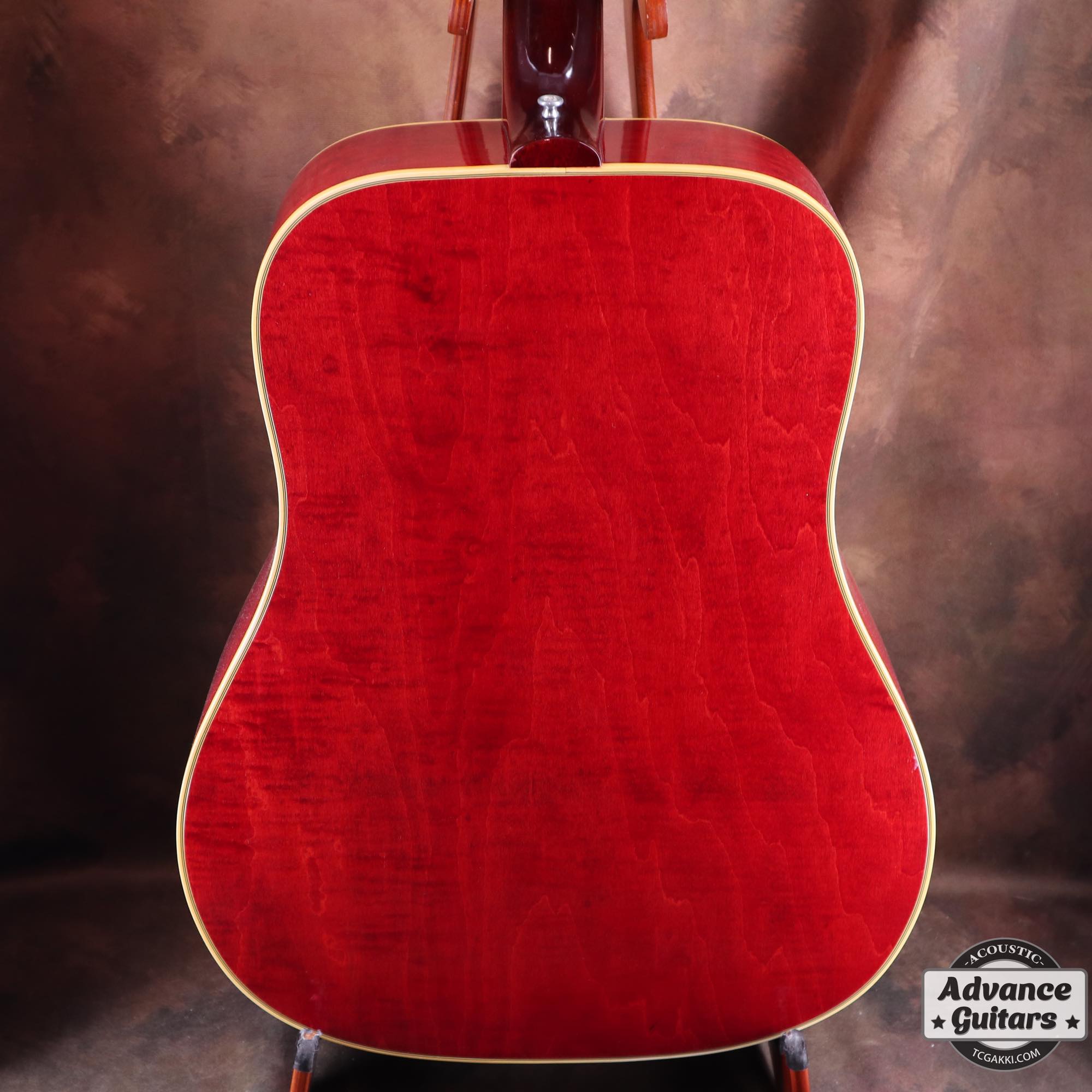 1968 Dove Double Pickguard - TC楽器 - TCGAKKI